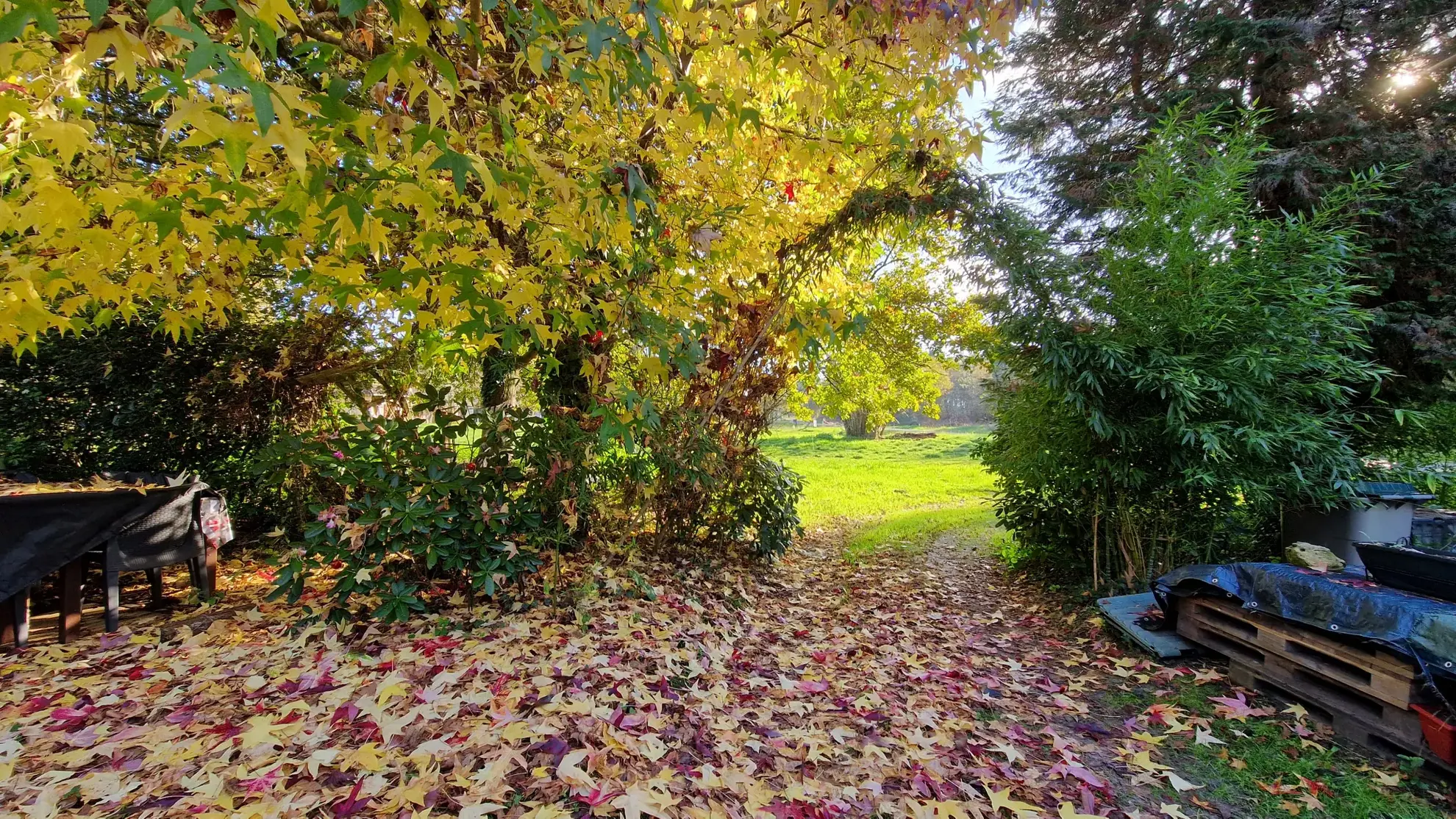 Maison de 95 m² avec appartement attenant près de Bazas, jardin arboré et double parking 