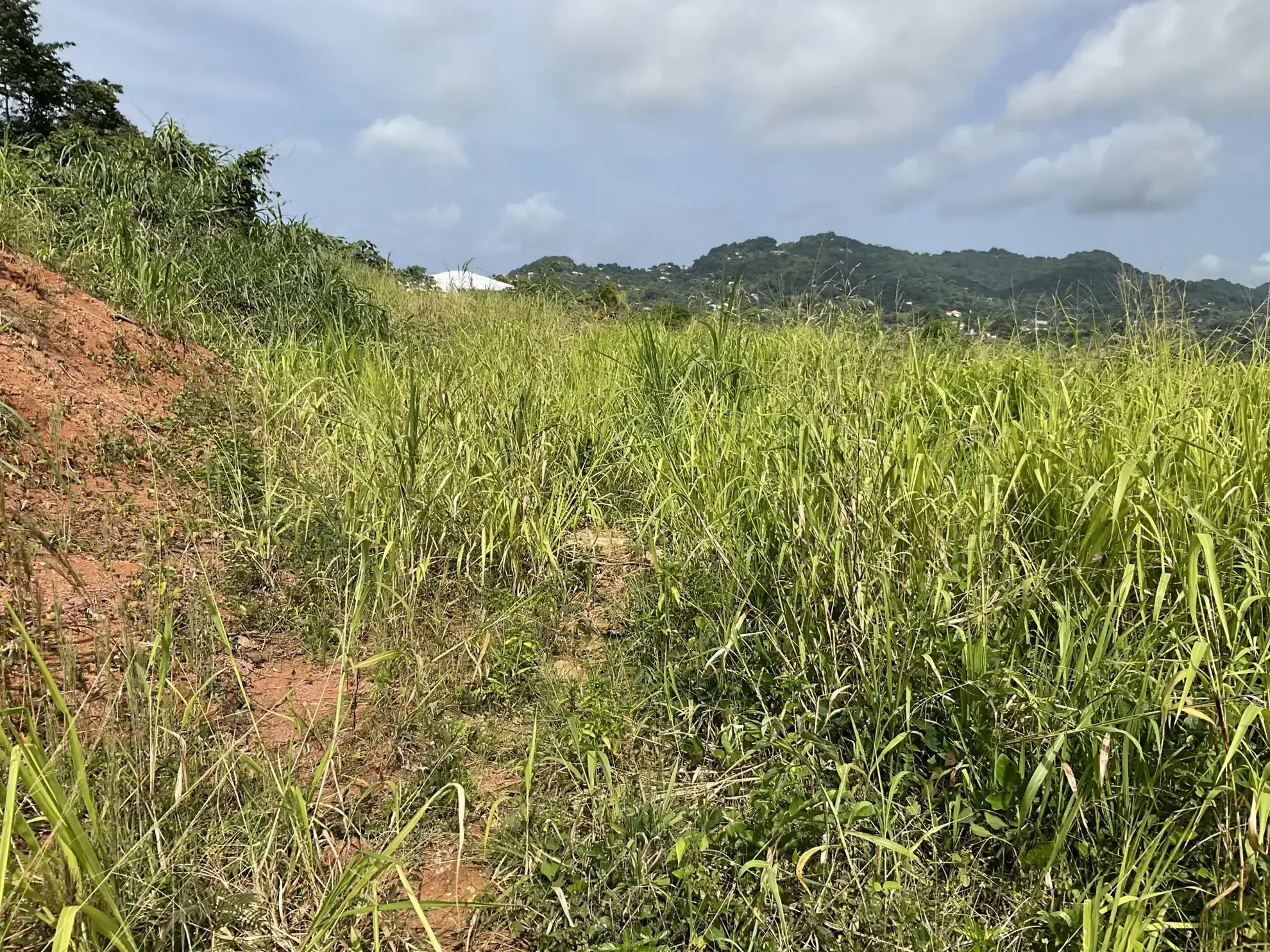 Terrain constructible de 478 m² au Robert avec vue dégagée 