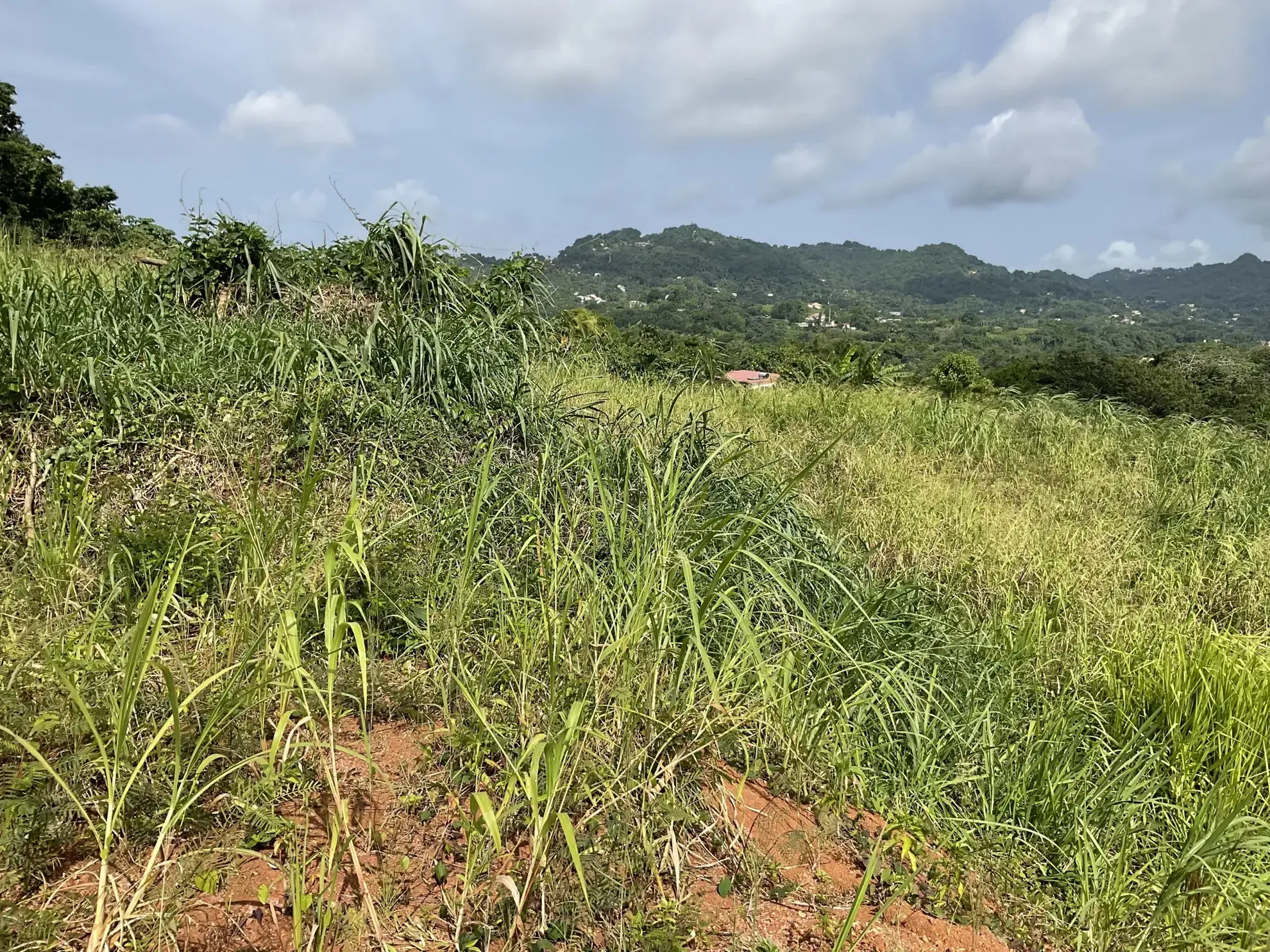 Terrain constructible de 478 m² au Robert avec vue dégagée 