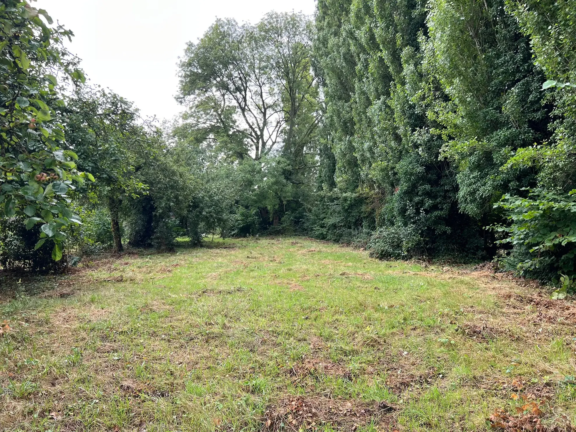 Terrain constructible à Feuquieres en Vimeu – Opportunité d'investissement immobilier