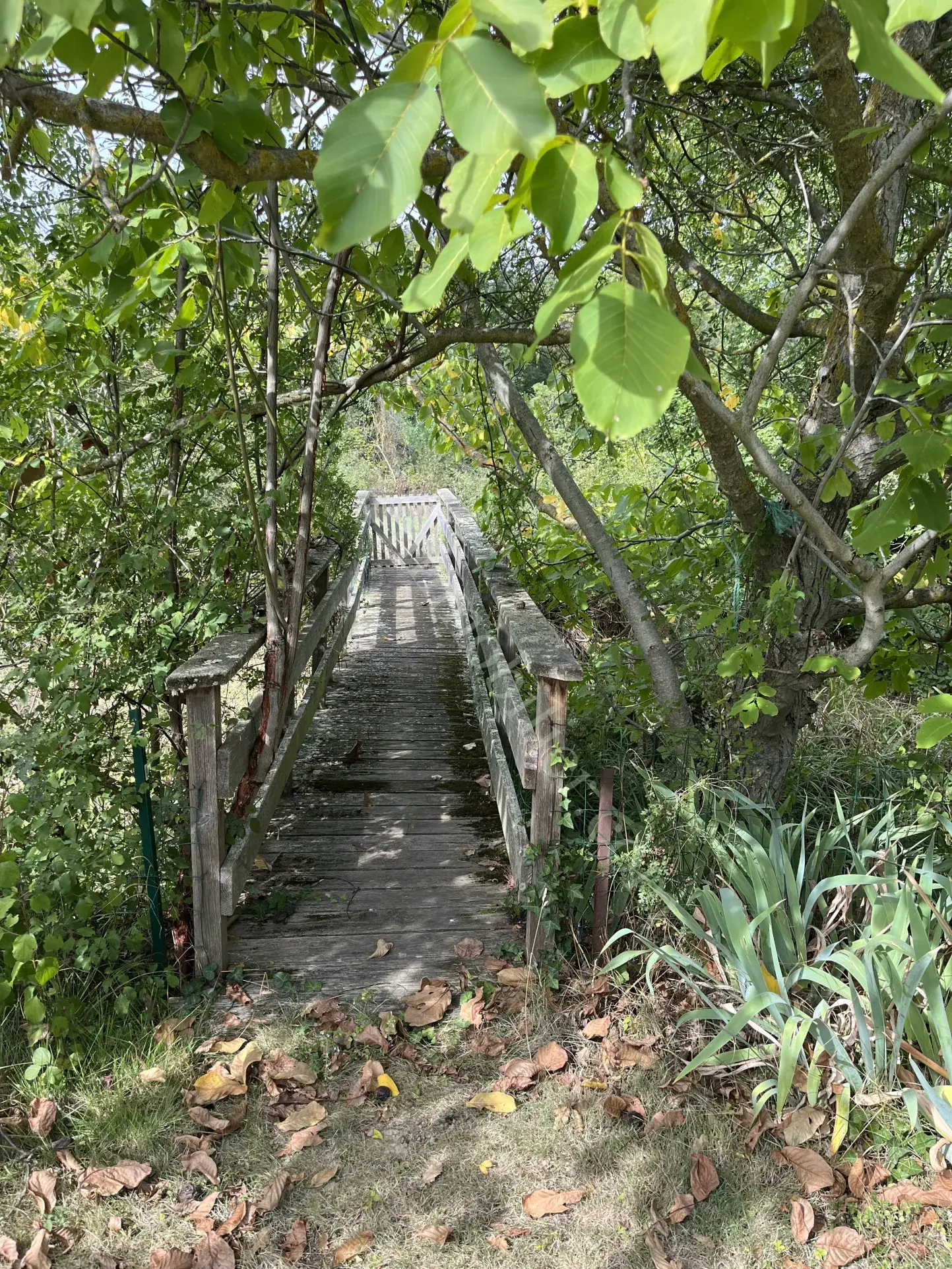 Villa de plain-pied avec grand jardin proche de Limoux - 2 chambres 