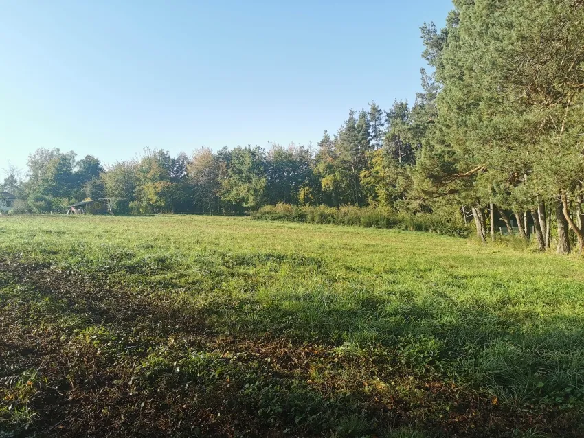 Grand terrain divisible en plusieurs lots à Les Ancizes-Comps