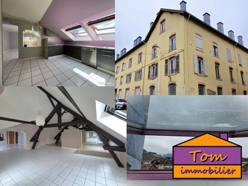 Appartement type loft au centre-ville de Saint Dié des Vosges