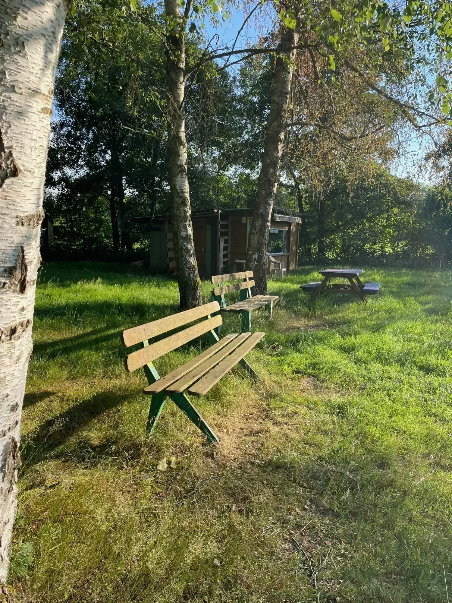 Terrain de 51 000 m² avec étang privé à Saint-Ulrich 