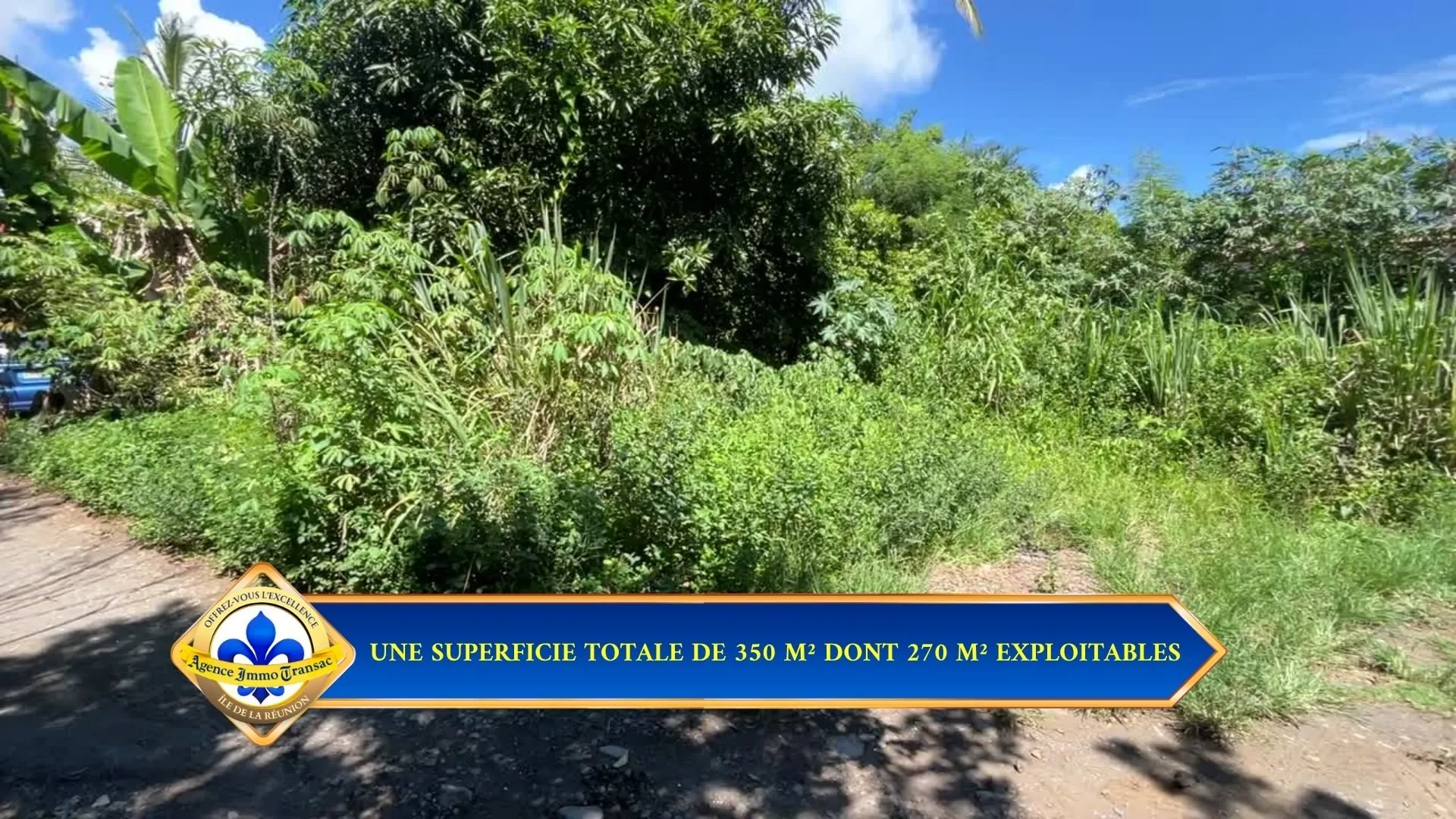 Terrain constructible de 295 m² à Saint-André - Opportunité à saisir 