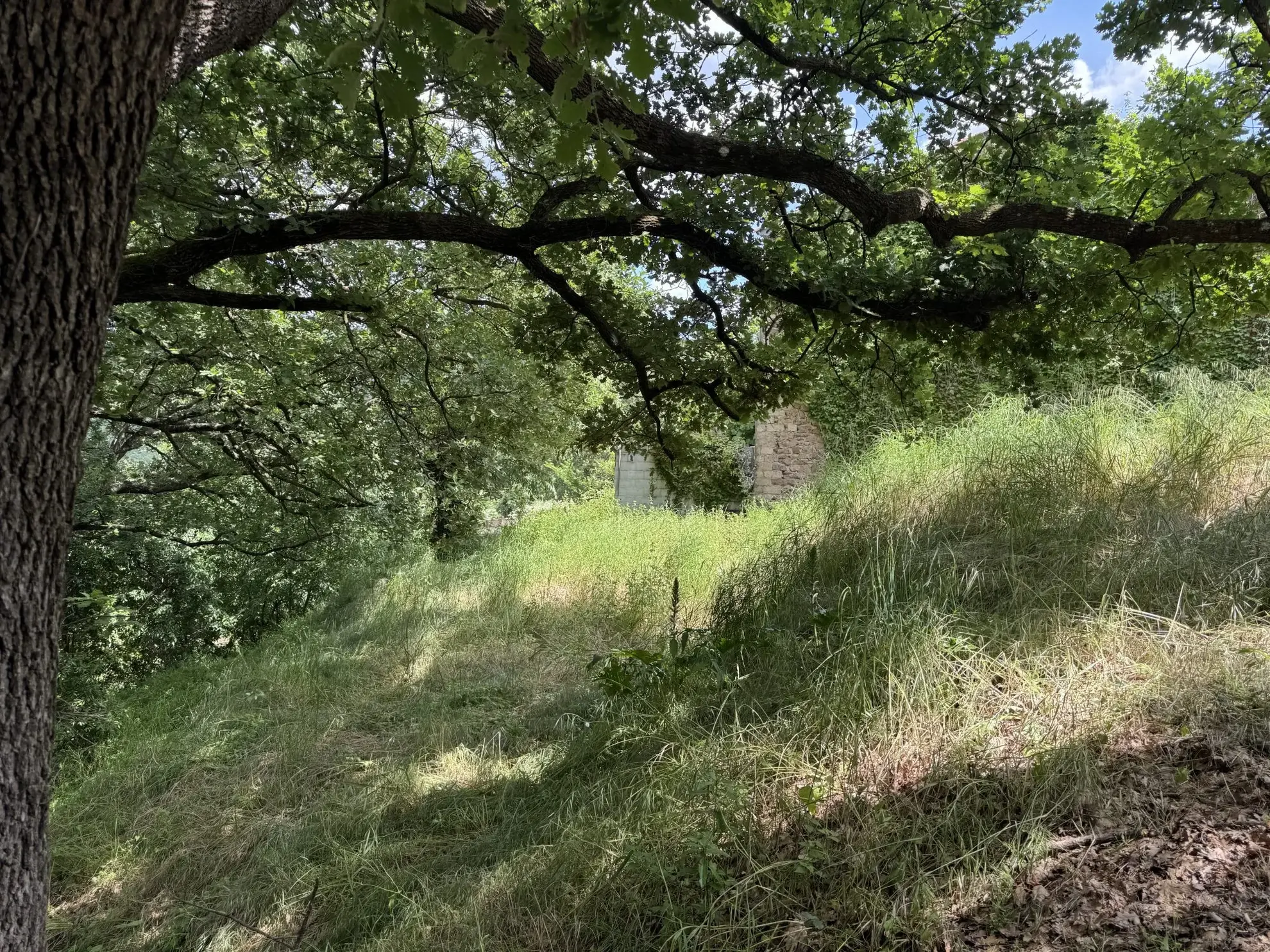 Terrain à bâtir de 350 m² à vendre aux Mayons, idéal pour projet immobilier 