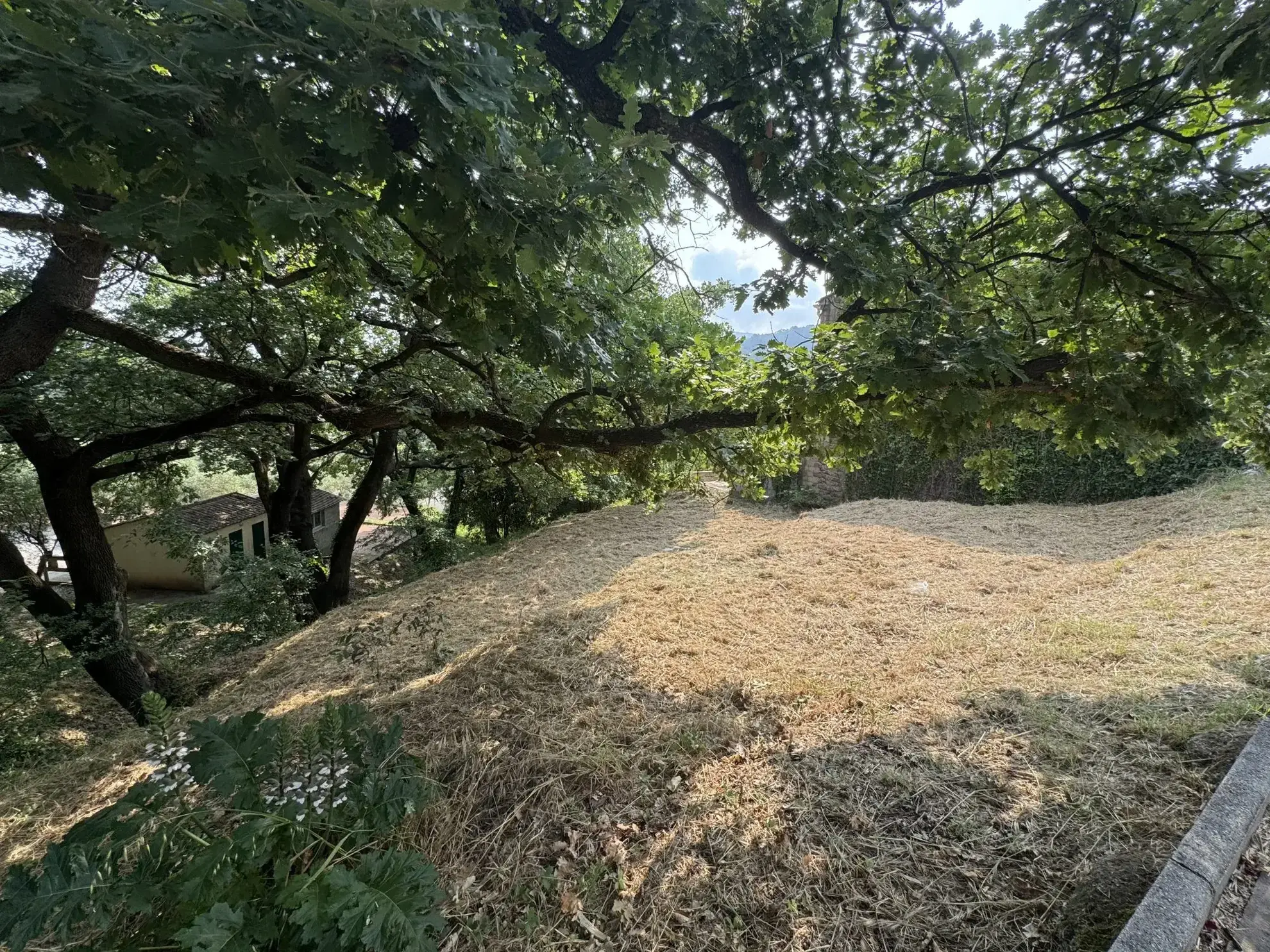 Terrain à bâtir de 350 m² à vendre aux Mayons, idéal pour projet immobilier 
