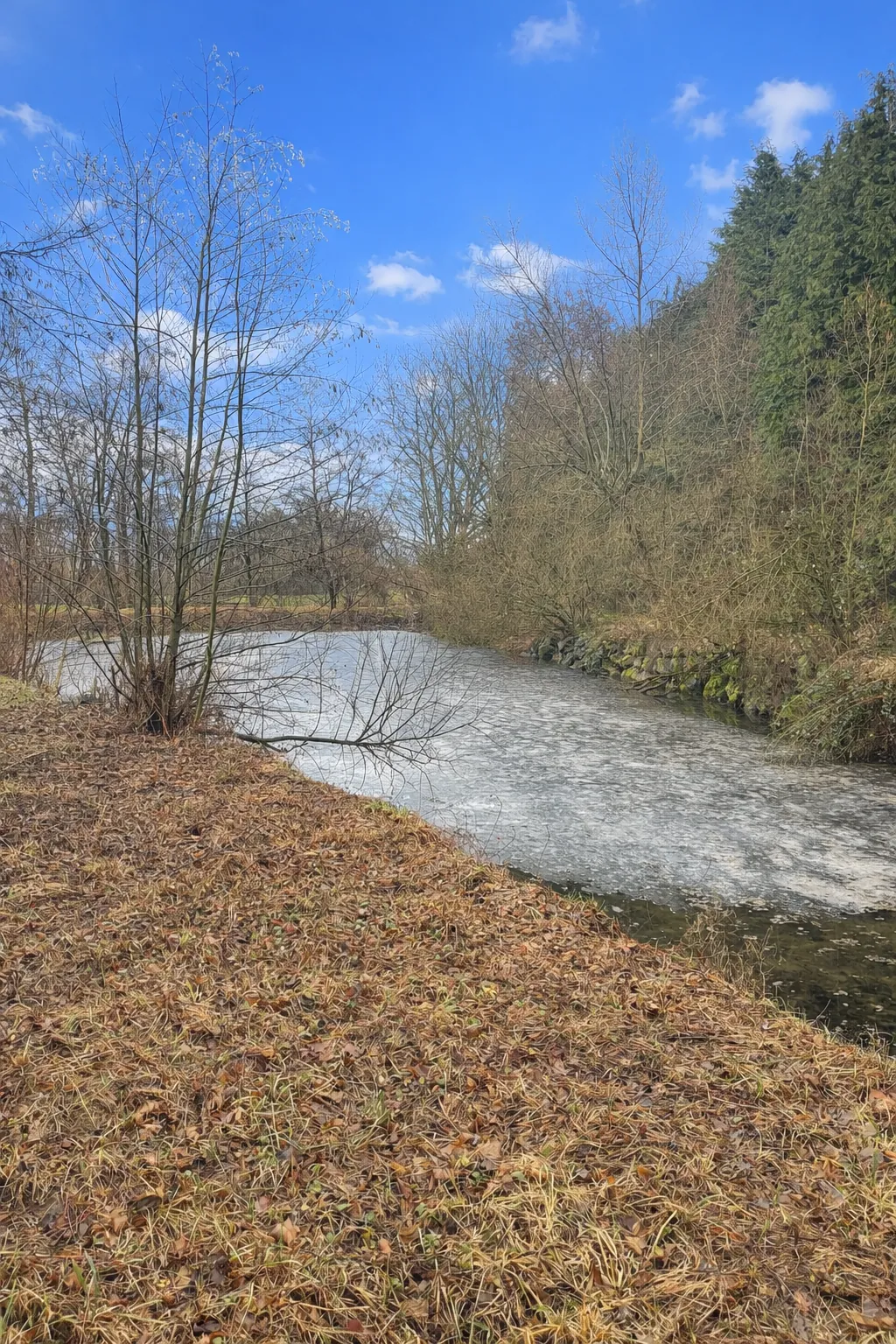 Terrain de 60 ares avec étang et source à Balschwiller - Opportunité rare