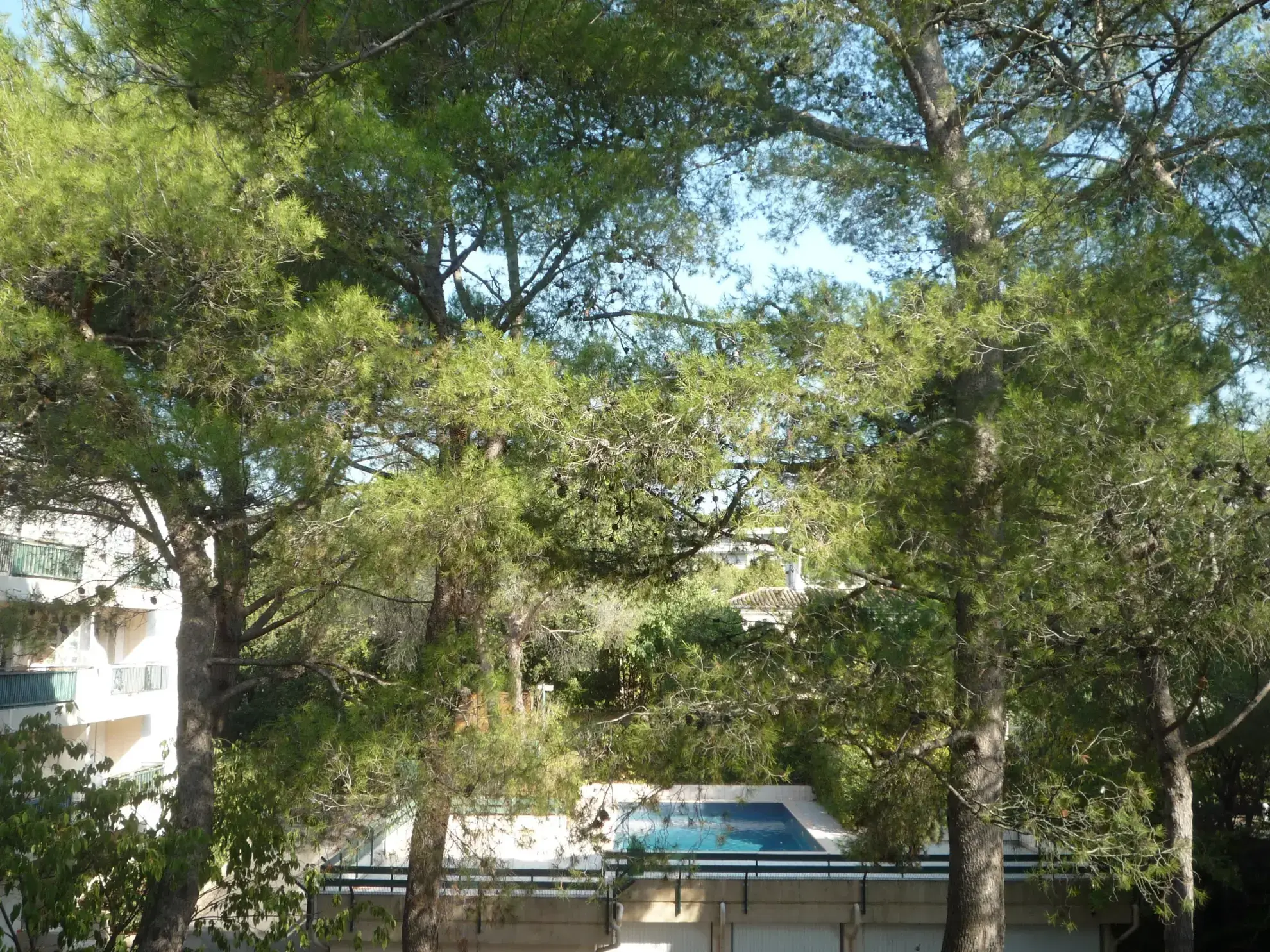 Appartement T2 à vendre à Montpellier Aiguelongue avec terrasse et piscine 