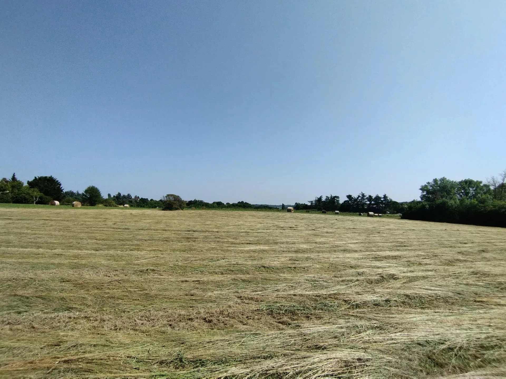 Grand terrain constructible de 3925 m² à Castelnau-Montratier dans le Quercy Blanc