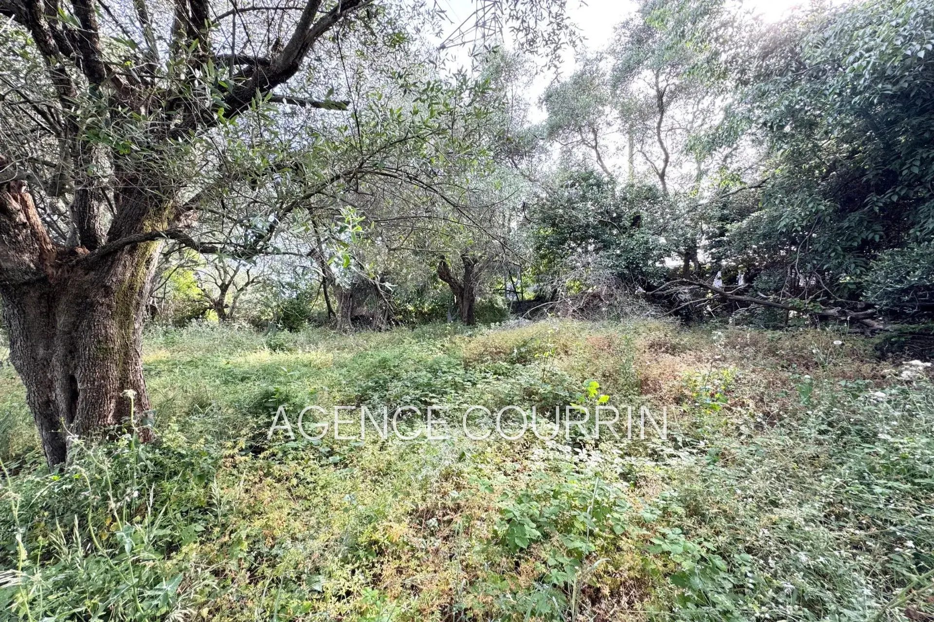 Terrain à vendre à Saint-Antoine, 846 m², secteur calme et privilégié 