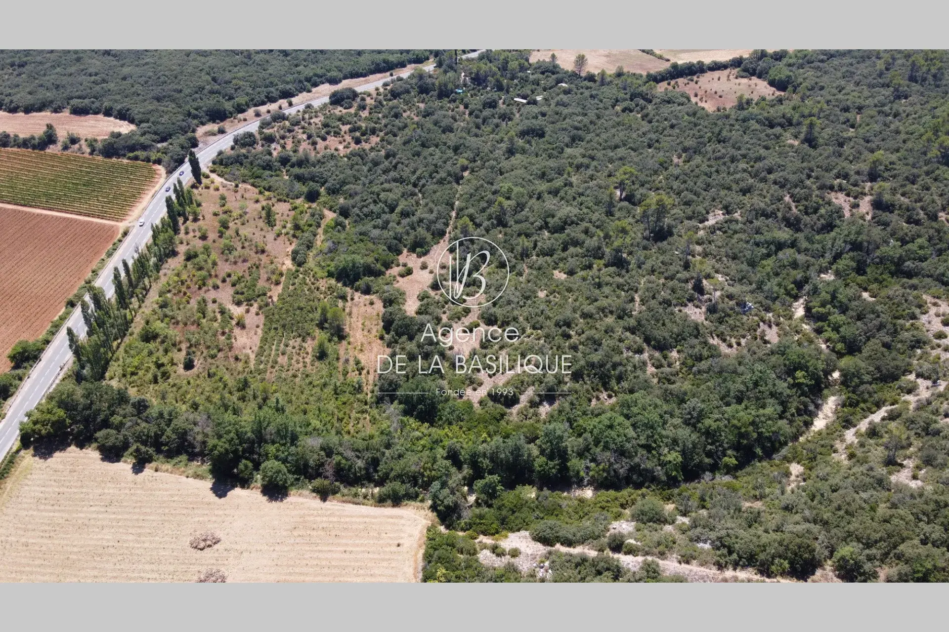 Terrain agricole de 7 hectares à Saint Maximin la Sainte Baume