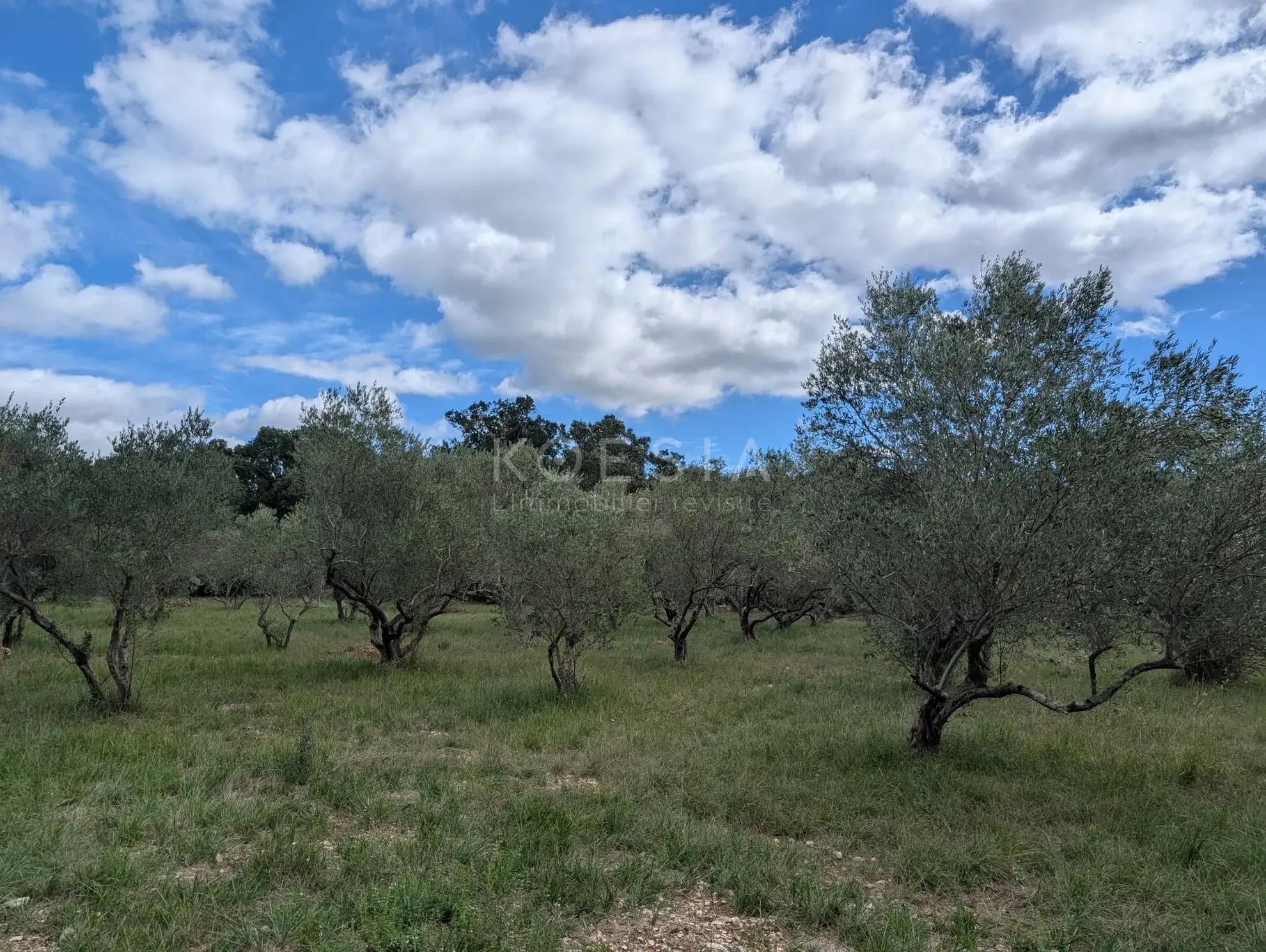 Terrain constructible de 2000 m² à Sauve, Gard - Emplacement exceptionnel