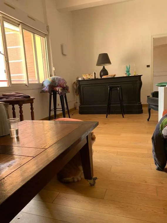 Grand T2 de 84 m² au centre-ville de Perpignan avec terrasse