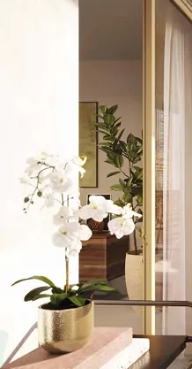 Appartement 2 pièces à Jassans-Riottier - Livraison 2028, parking inclus, promoteur - Offre limitée 