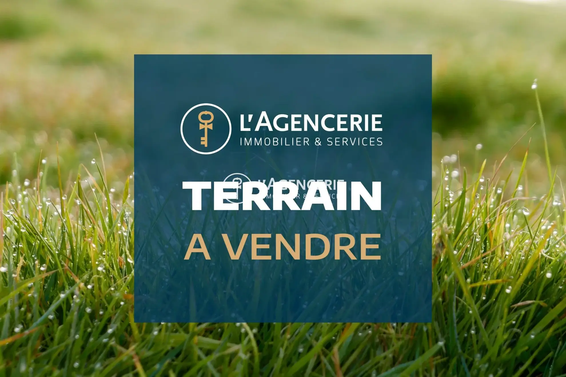 Terrain constructible de 1182 m² à Albi avec vue dégagée, idéal pour maison individuelle