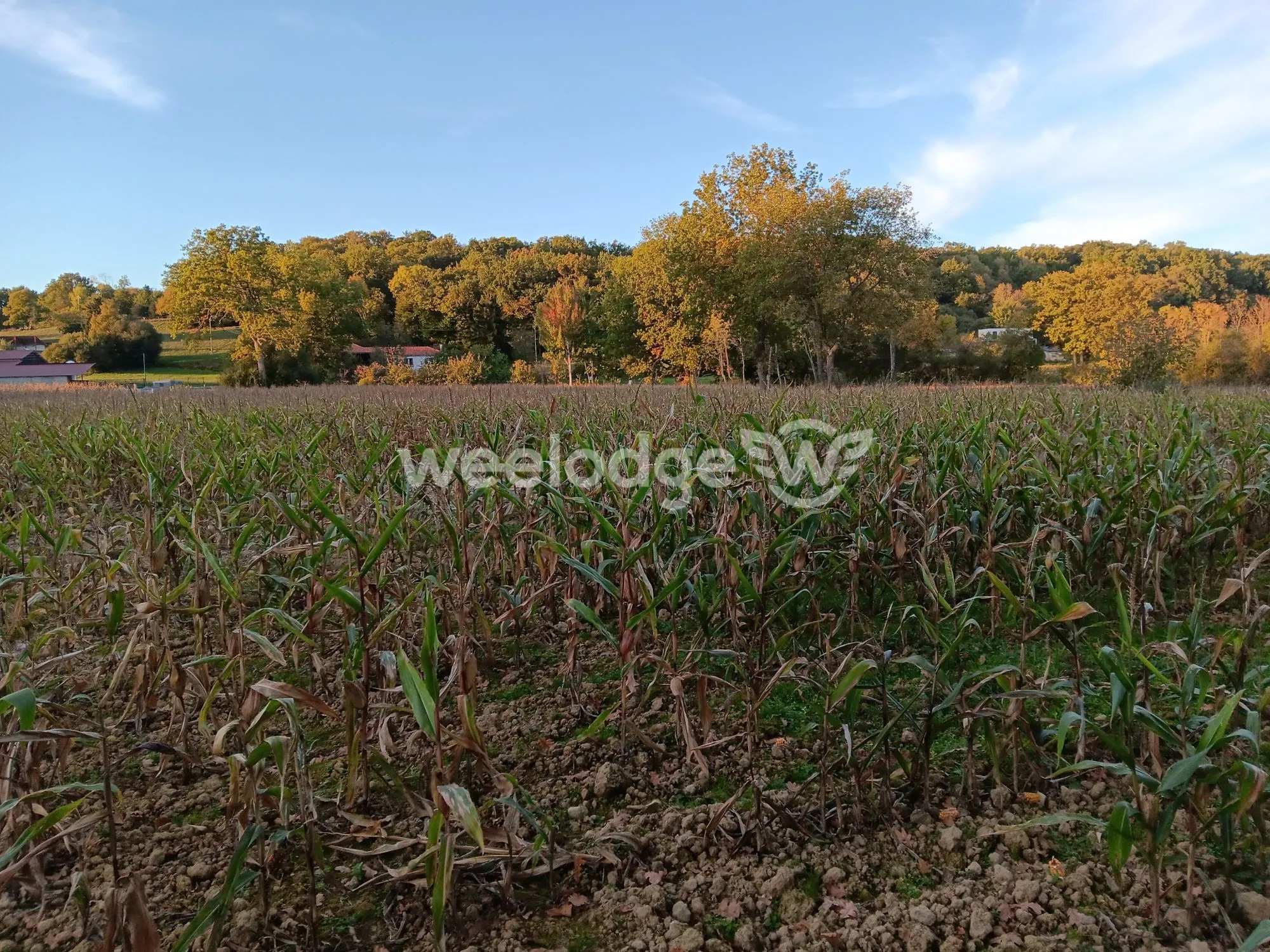Terrain constructible proche de Montréjeau avec vue sur les montagnes