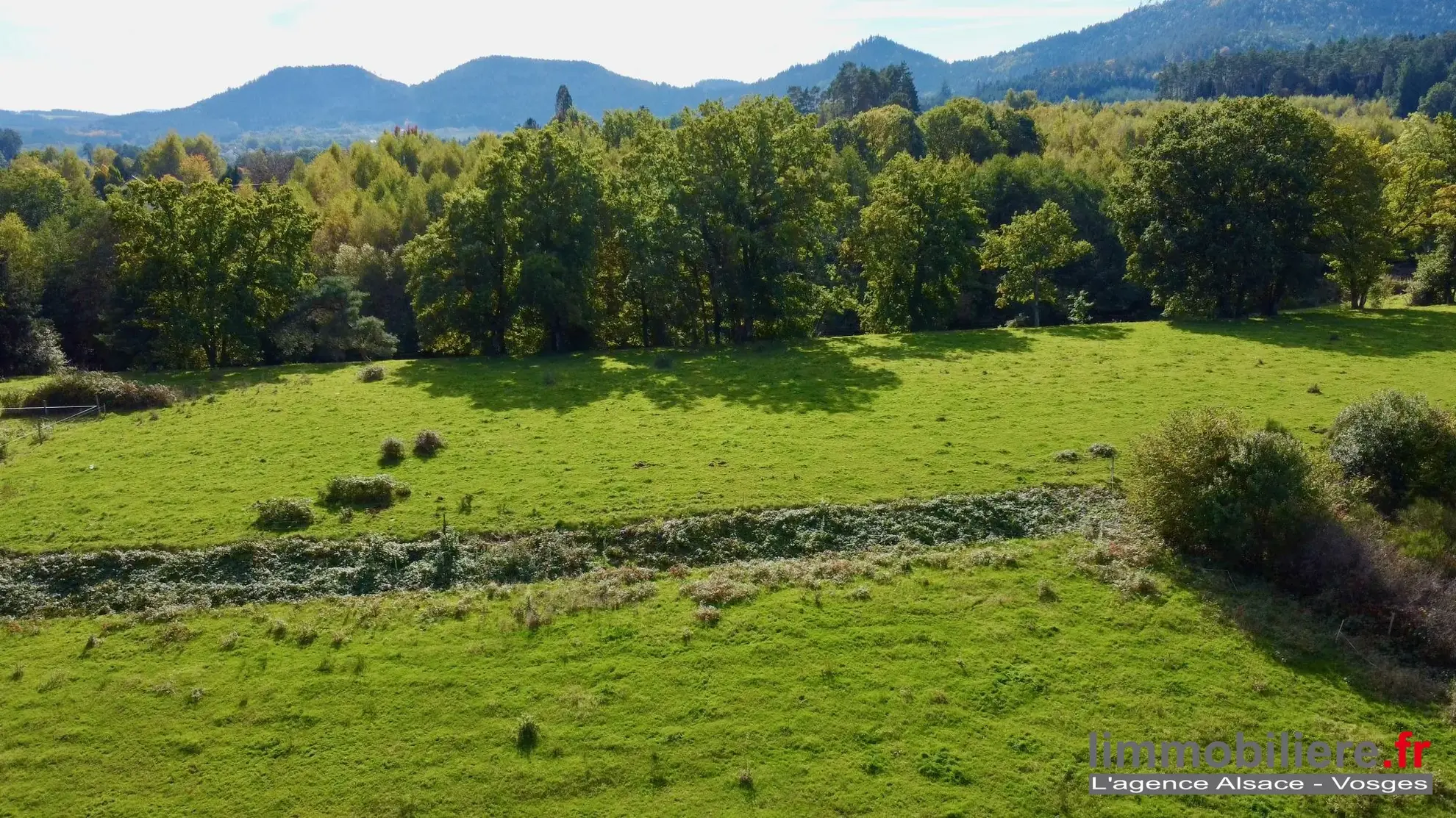Magnifique terrain non constructible avec vue sur les montagnes à Taintrux 
