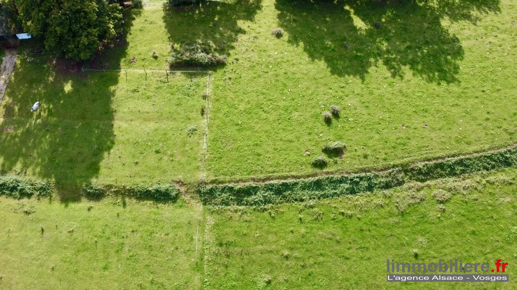 Magnifique terrain non constructible avec vue sur les montagnes à Taintrux 