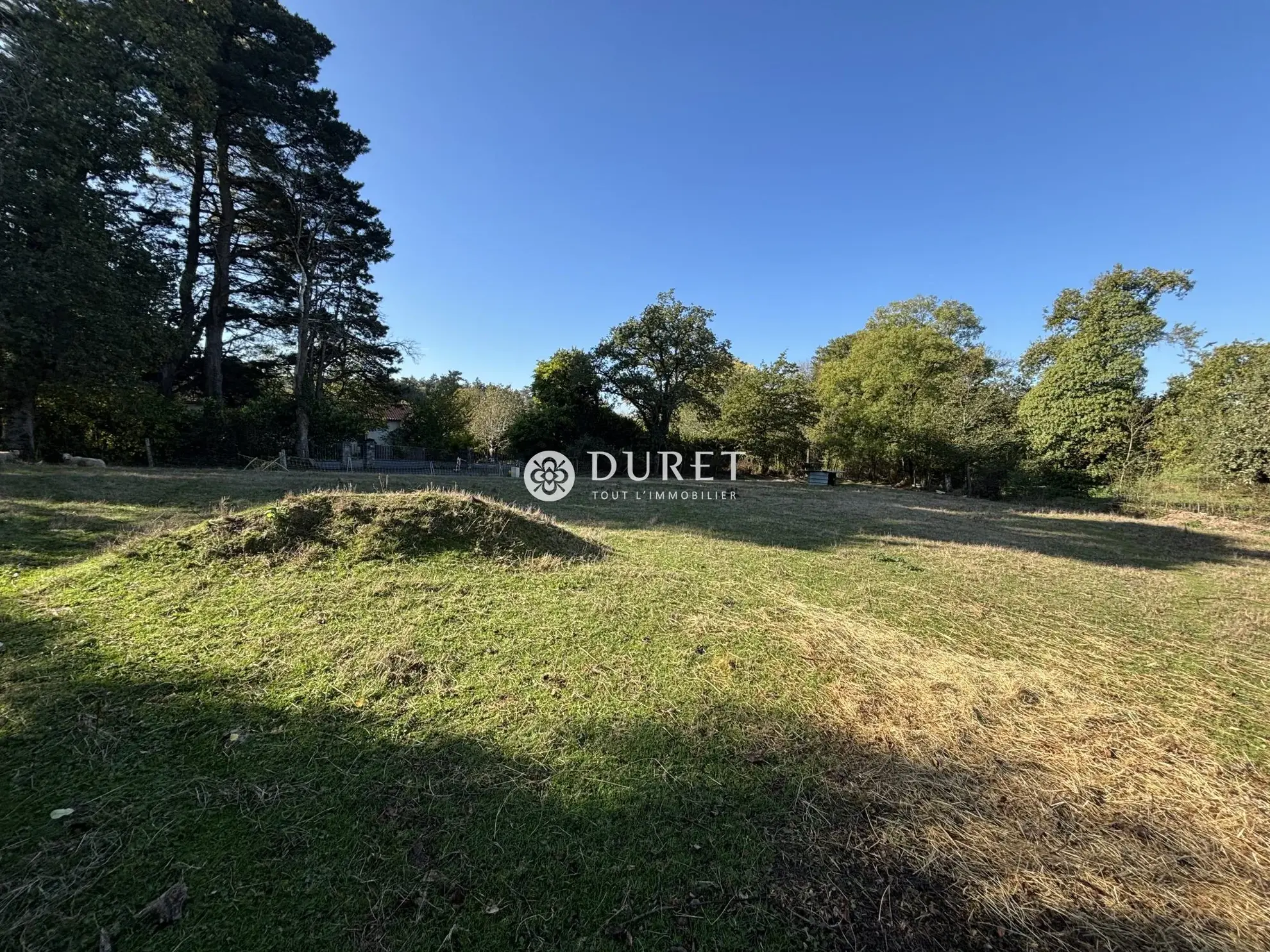 Terrain à vendre à Gétigné (713 m²) en impasse, calme et viabilisé 