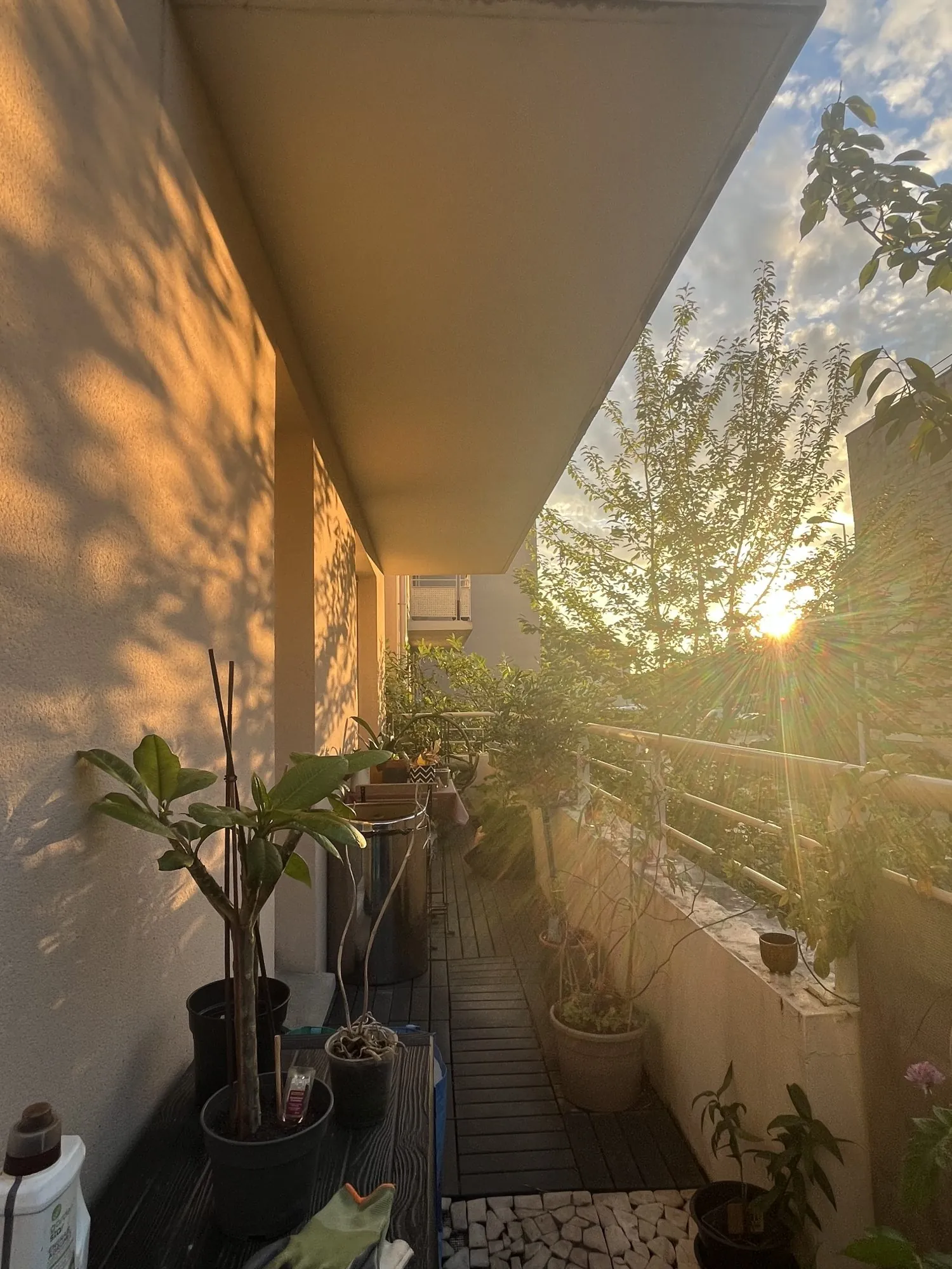 Achat T2 lumineux avec grand balcon et box à Chanteloup-les-Vignes