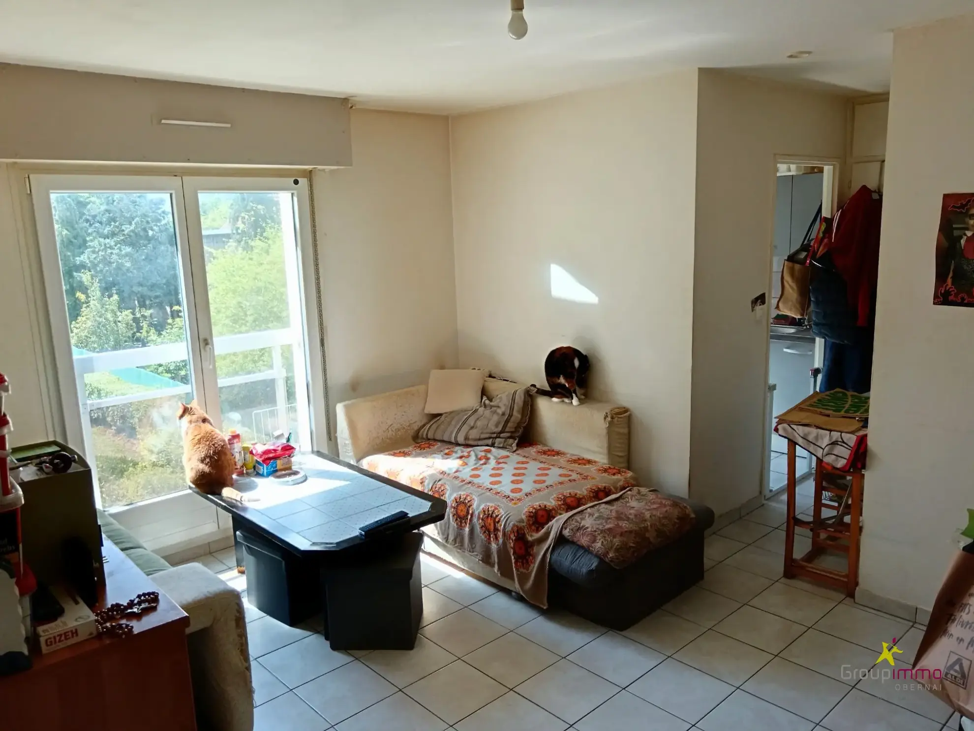 Appartement à vendre à Erstein pour investissement locatif – 37,05 m² 
