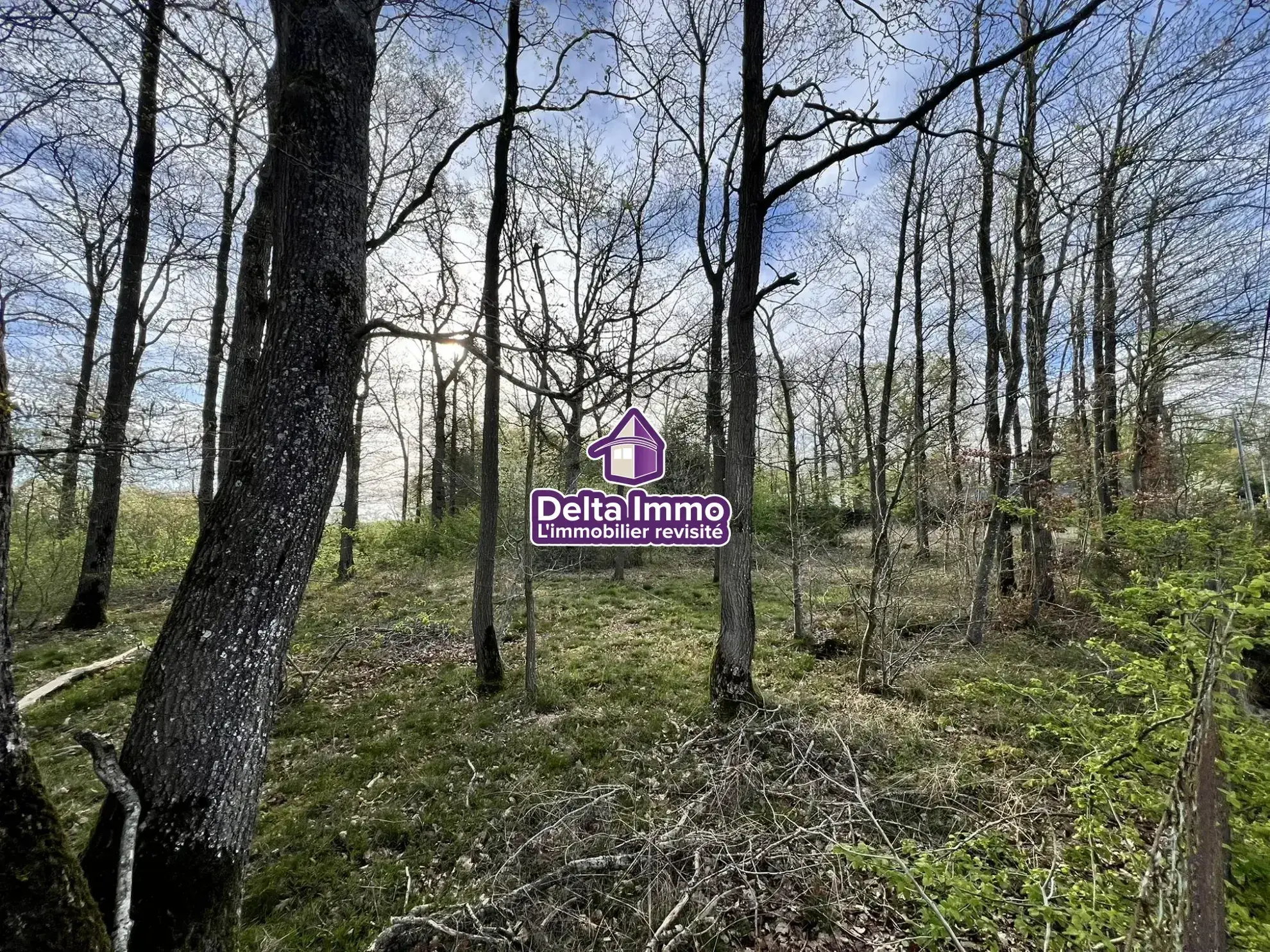 Grand terrain constructible à Orvault de 4 785 m² proche écoles et transports 