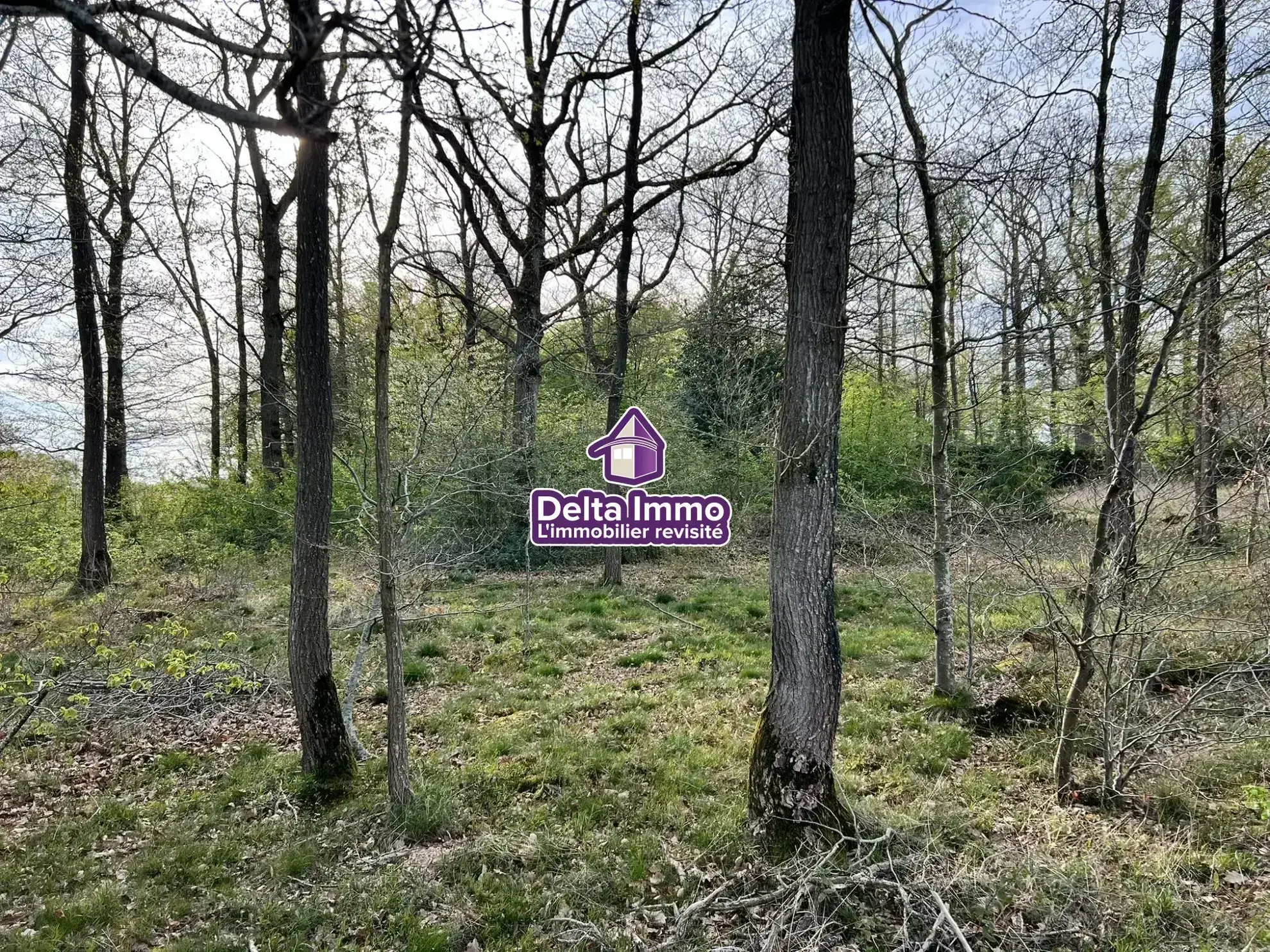 Grand terrain constructible à Orvault de 4 785 m² proche écoles et transports 