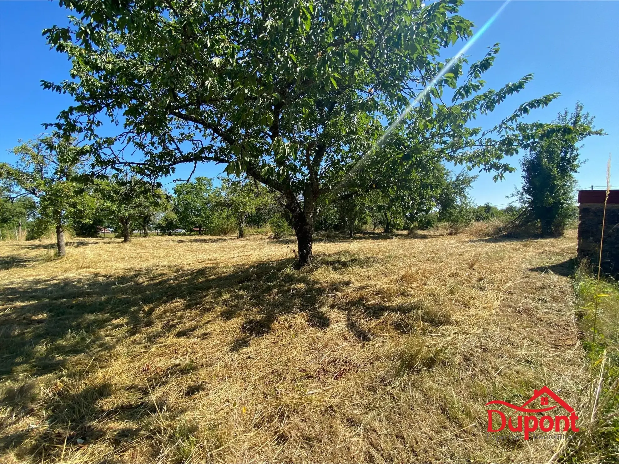Terrain à bâtir exceptionnel à Cussangy de 2460 m² avec vue dégagée 