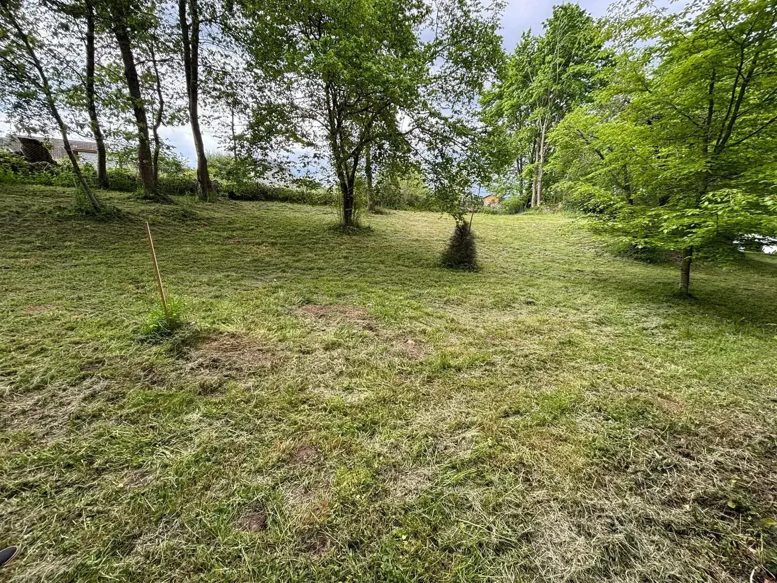 Terrain à Nébouzat de 1192 m², arboré et calme, non viabilisé 