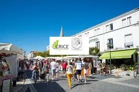 Local commercial à La Tremblade 17 - Idéal Investisseur, 36 m²