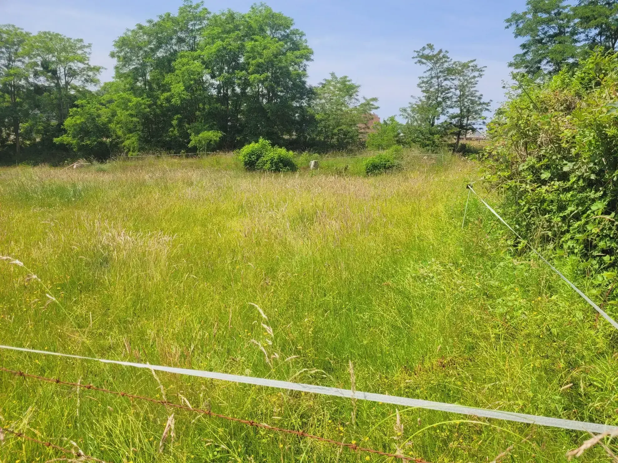 Terrain constructible de 652 m² à La Haye Malherbe offrant tranquillité et commodités