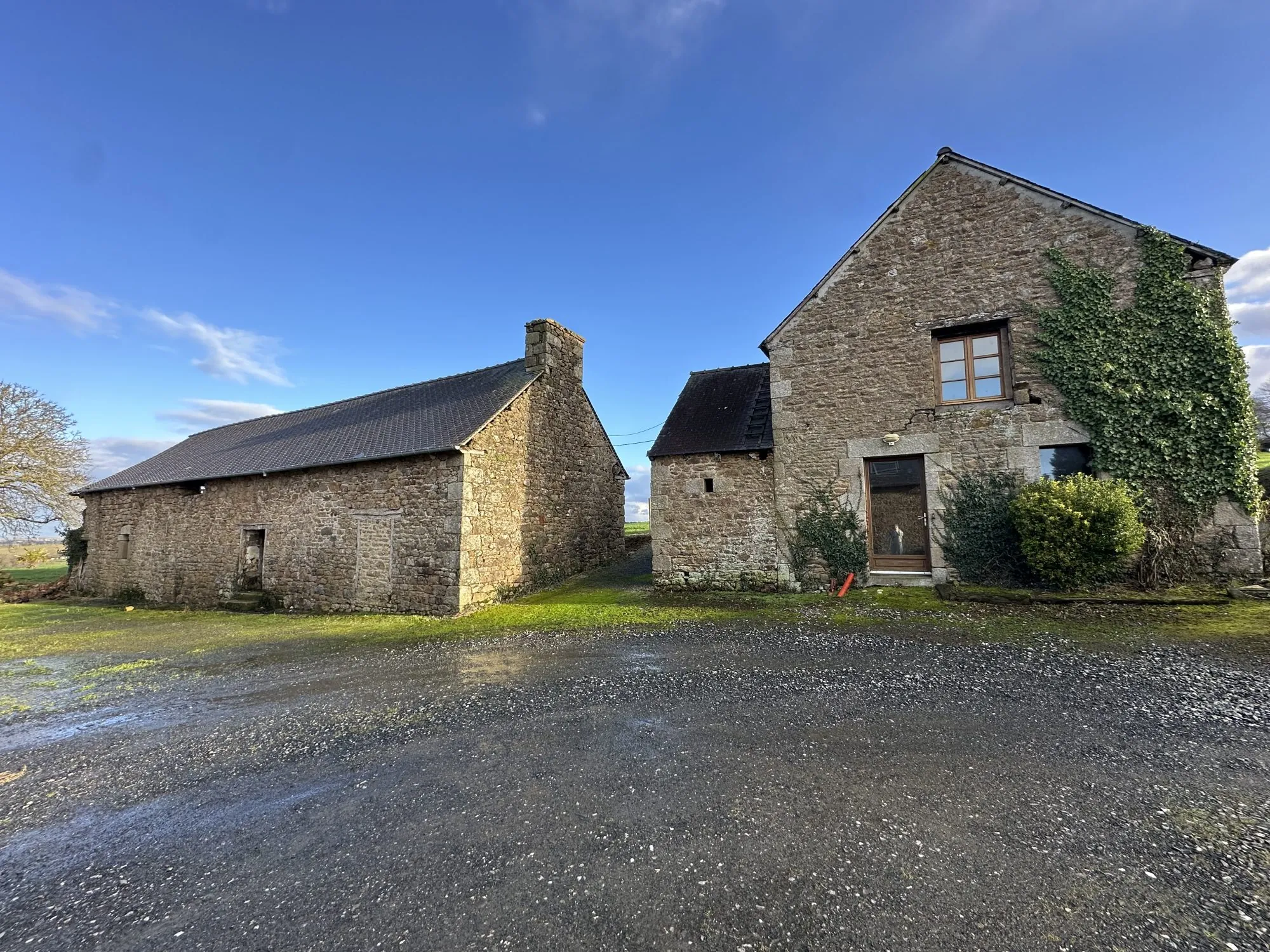 Ensemble immobilier en pierre avec grand terrain à Hénon - Projet de rénovation