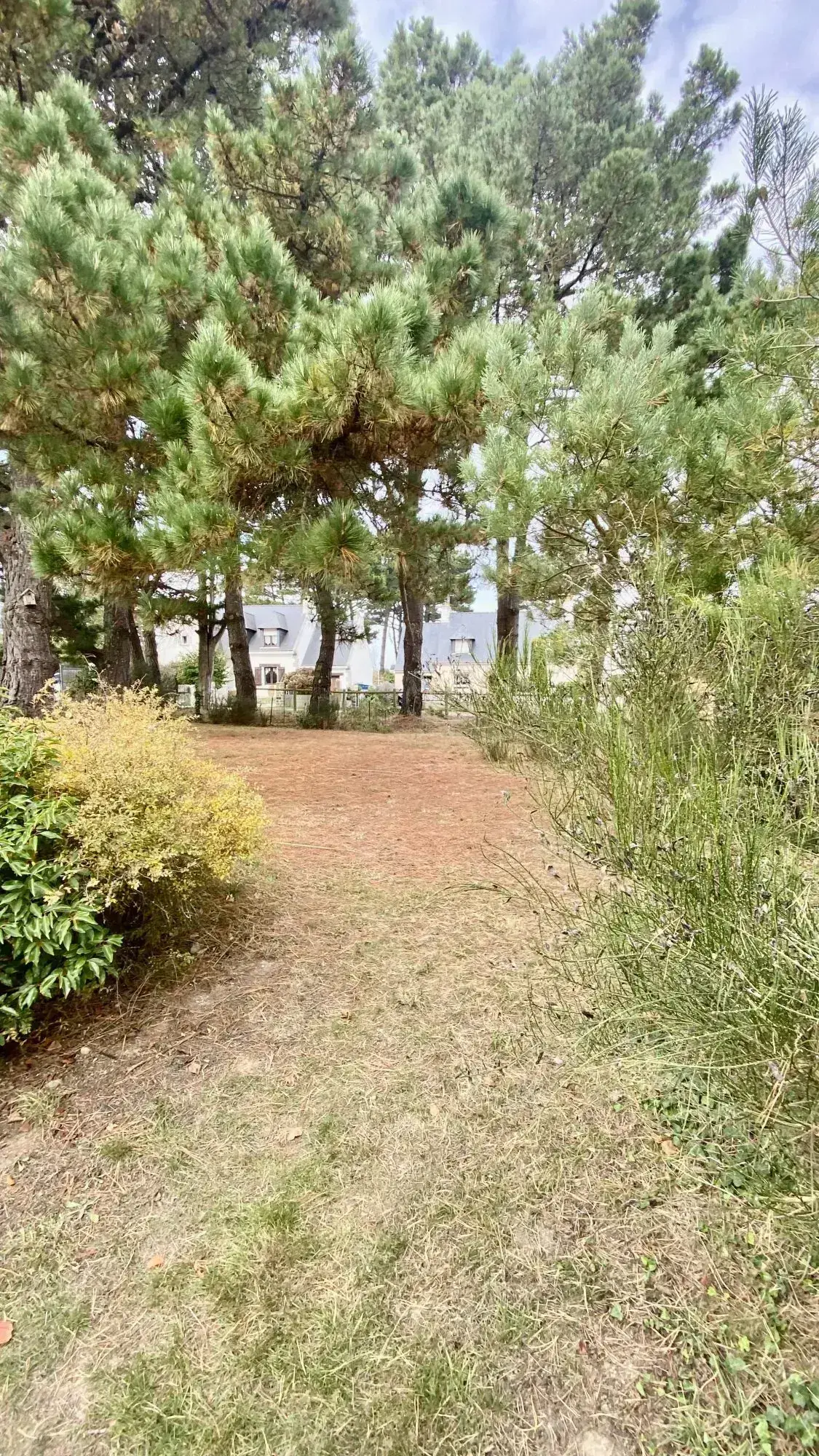 Terrain constructible à vendre dans le secteur Bourg - 400 m²