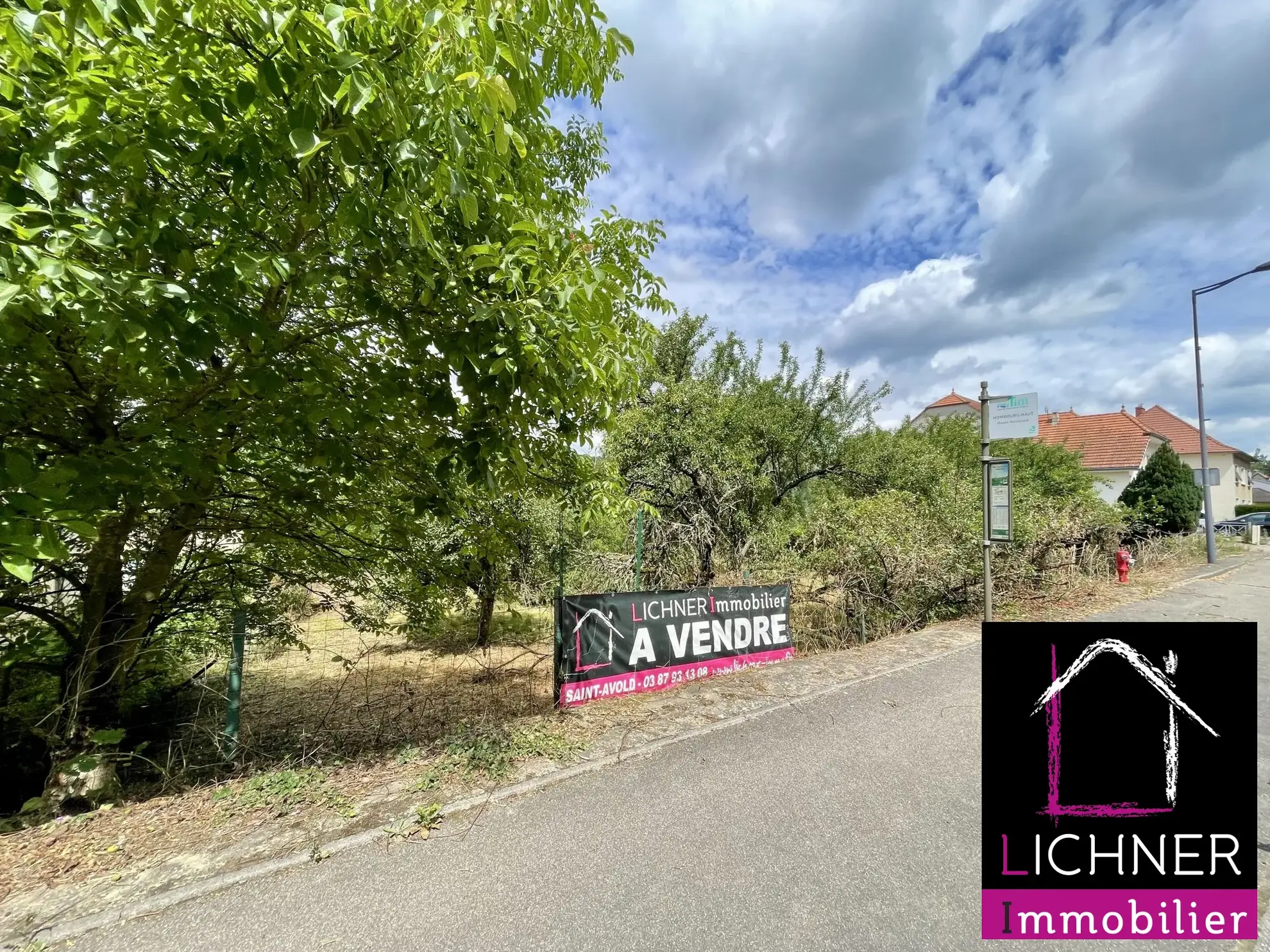 Terrain constructible de 9,37 ares à Hambourg-Haut – Opportunité rare