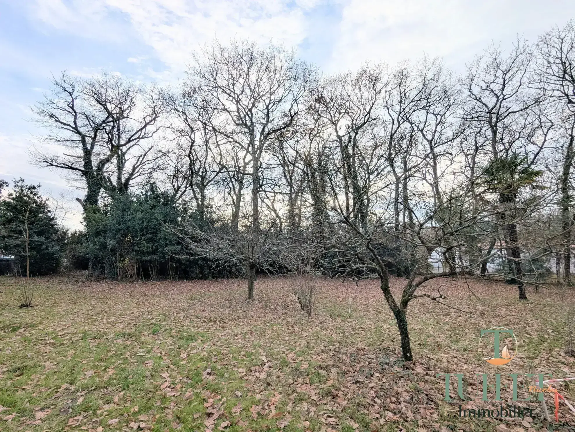 Terrain constructible de 1 000 m² à Breuillet avec zone boisée 