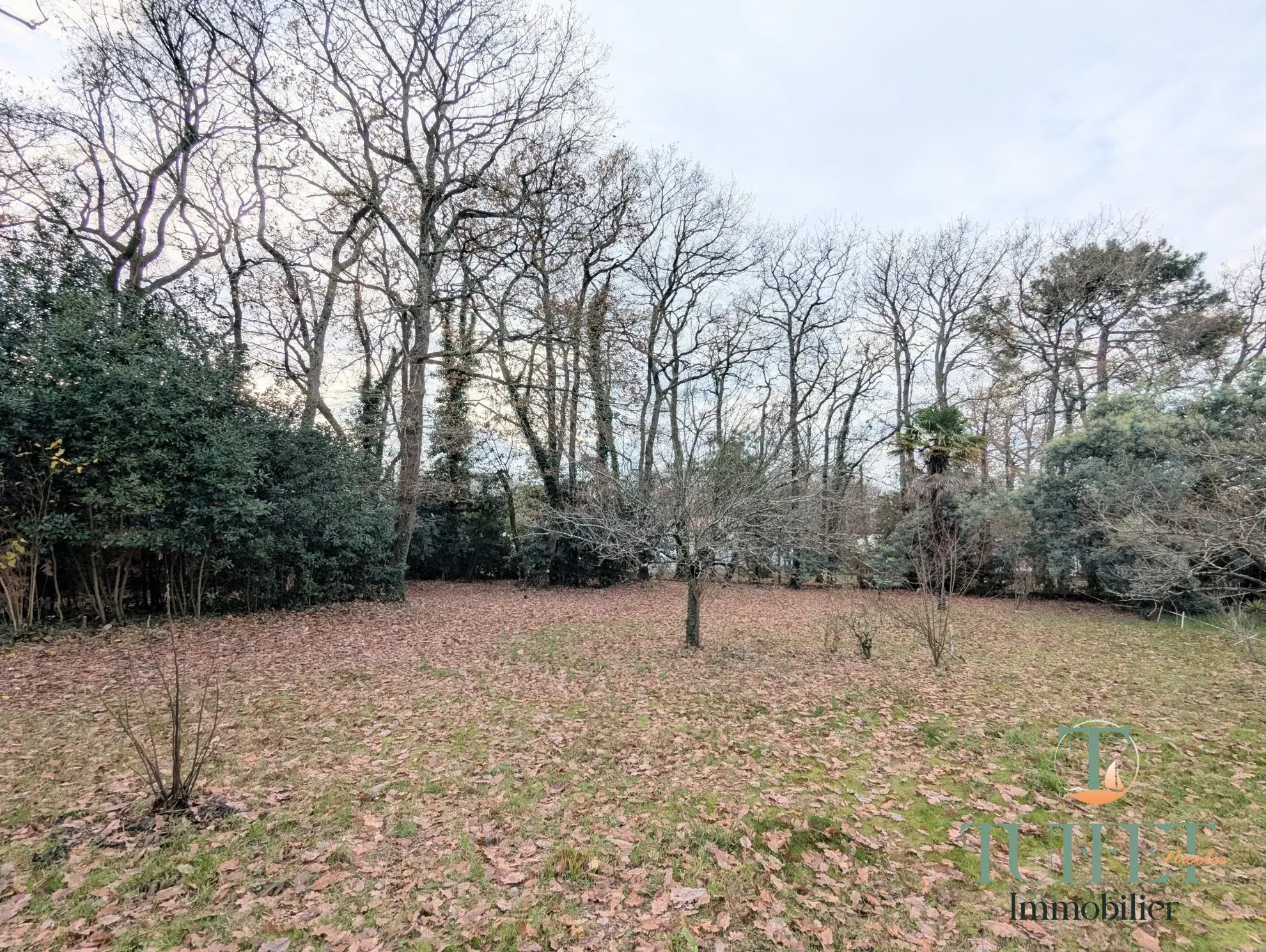 Terrain constructible de 1 000 m² à Breuillet avec zone boisée