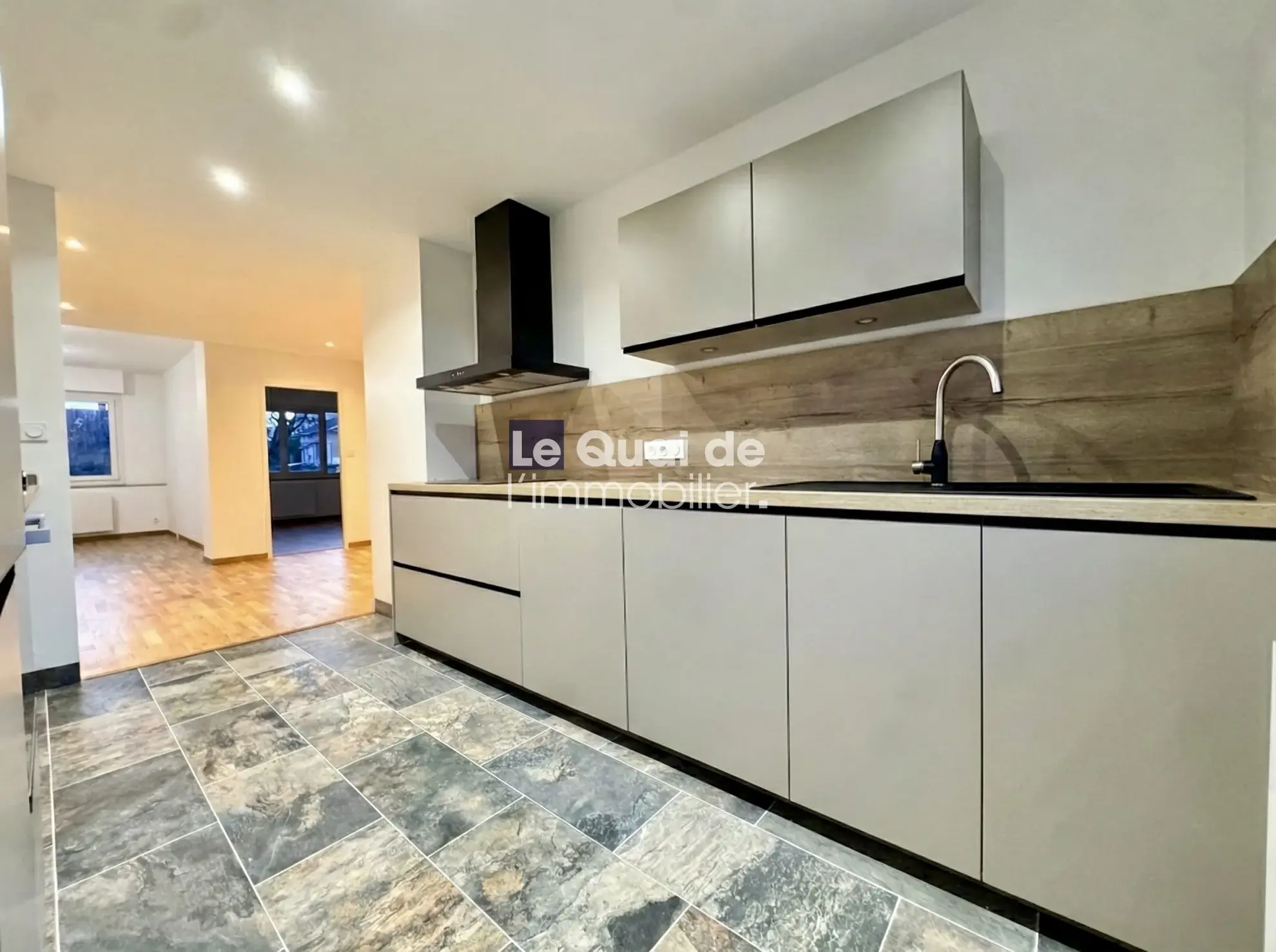 T3 rénové et lumineux avec vue sur parc à Grenoble - Calme et proximité centre