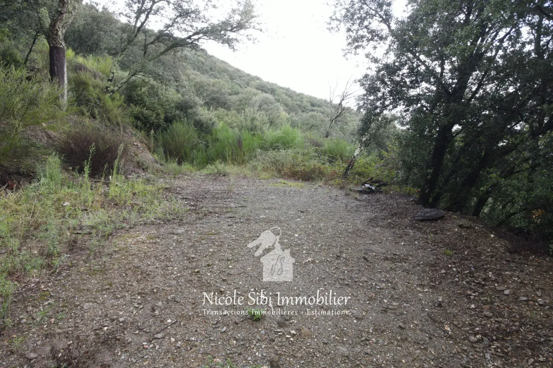 Terrain boisé de 10 hectares à vendre à Montbolo, France