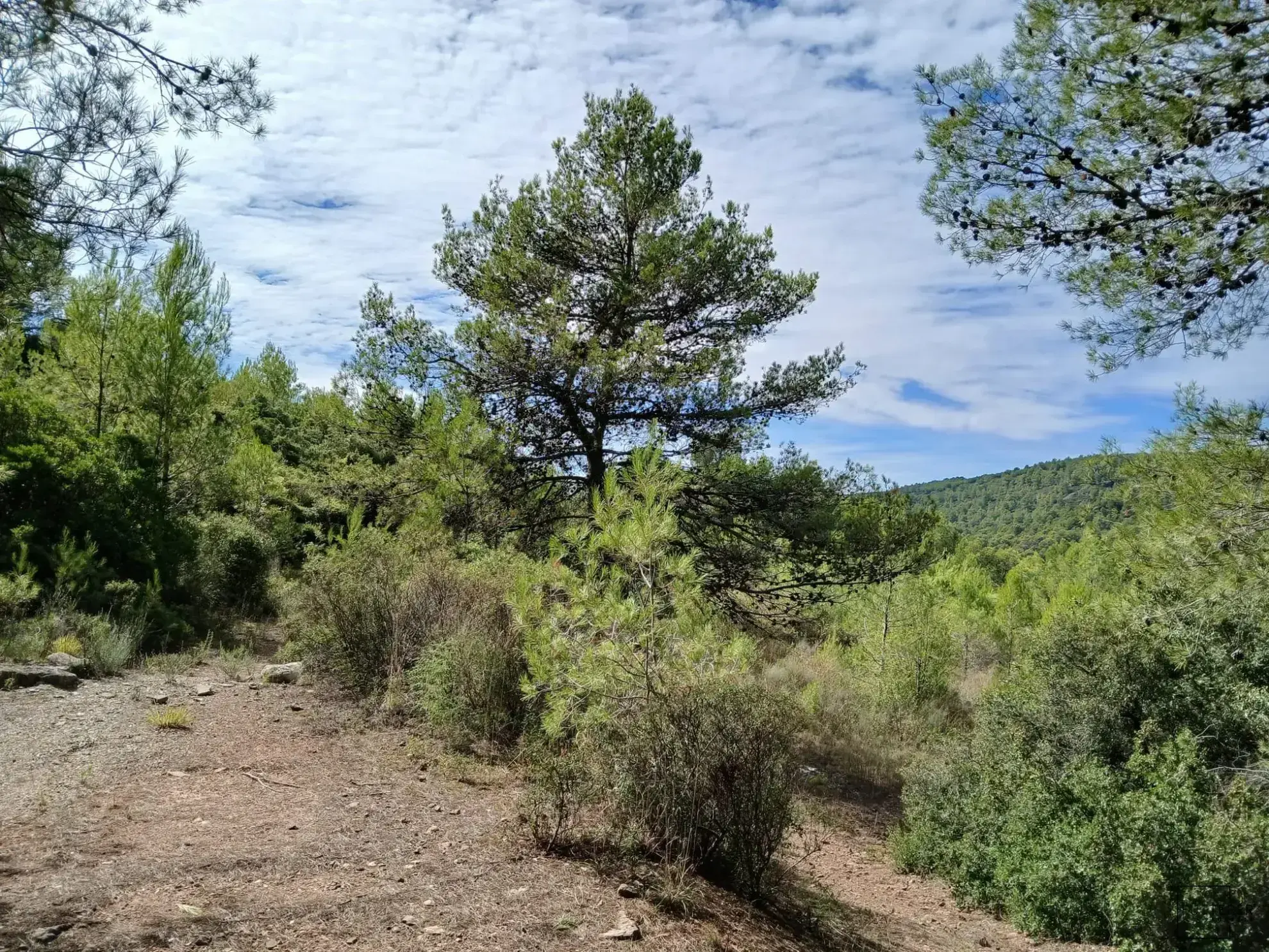 Maison de village avec appartement indépendant et jardin en Hérault