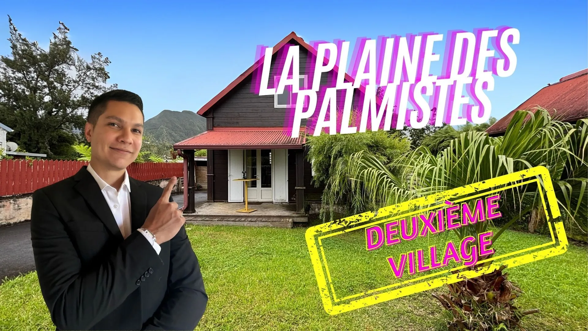 Maison en bois avec jardin et terrasse à La Plaine-des-Palmistes