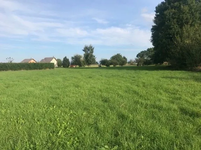 Terrain constructible dans un lotissement proche Seyssel – Opportunité à saisir