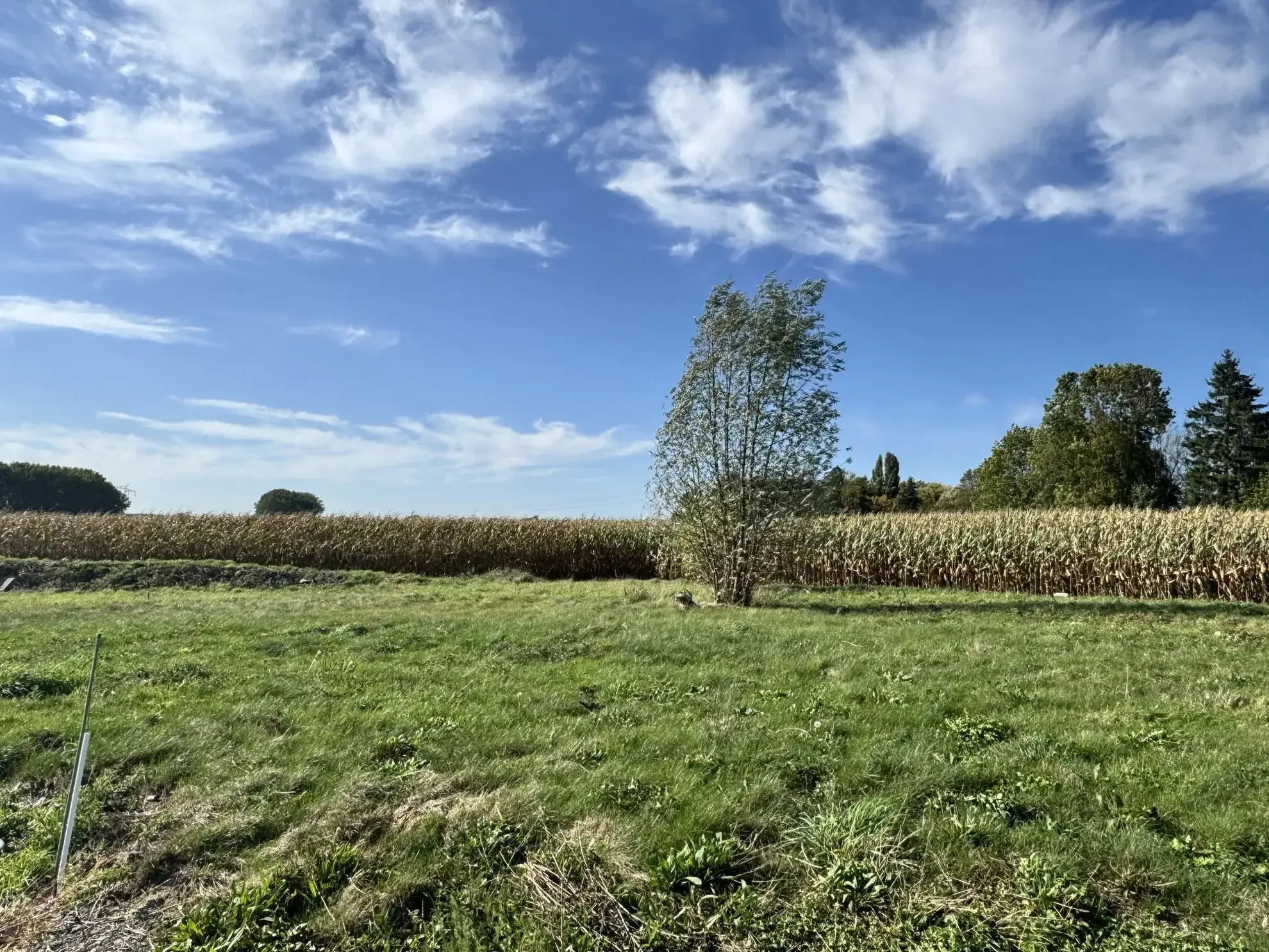 Terrain constructible à Ennevelin de 797 m² avec vue dégagée 