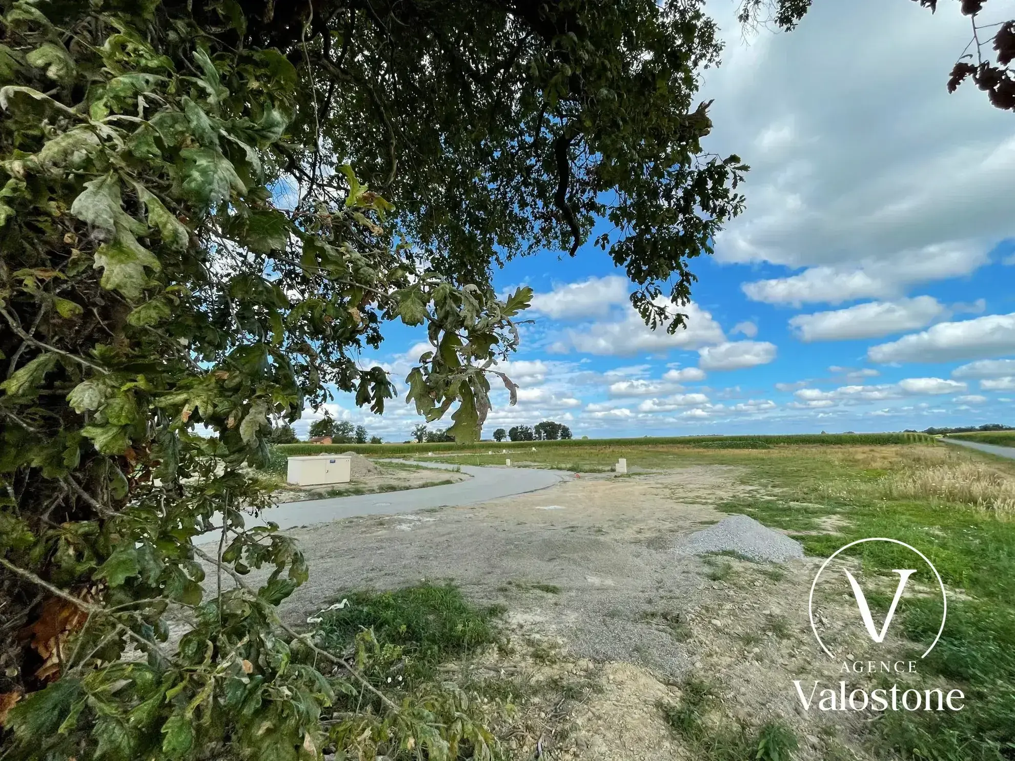 Terrain à vendre à Monségur (40700) avec vue sur la chaîne Pyrénéenne 