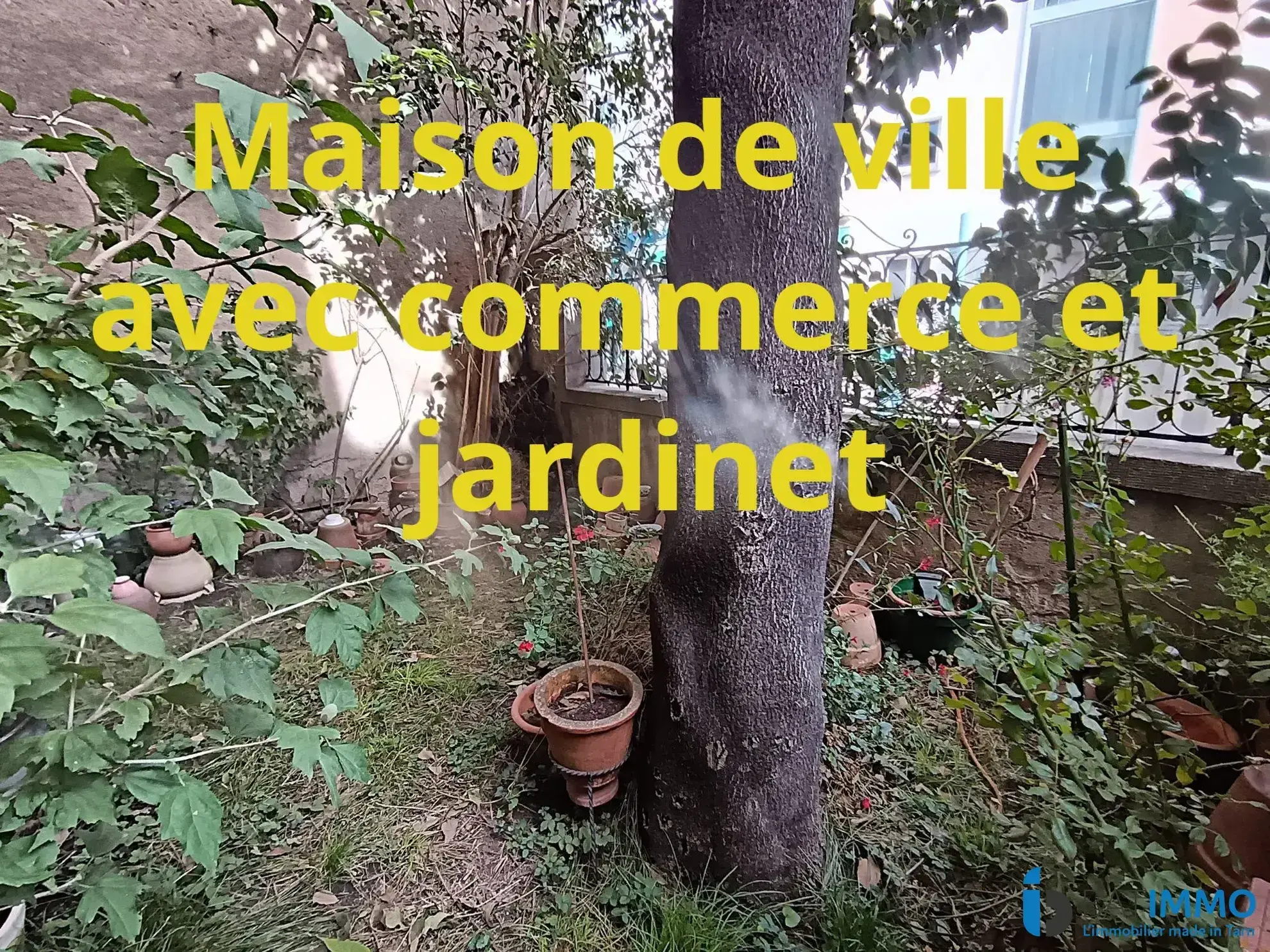 Maison de ville à rénover avec commerce et jardin à Mazamet