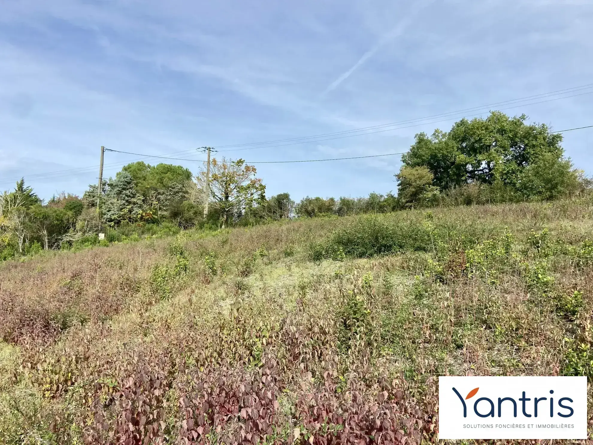 Idéal terrain constructible de 1088 m² à Montastruc-la-Conseillère avec vue panoramique 