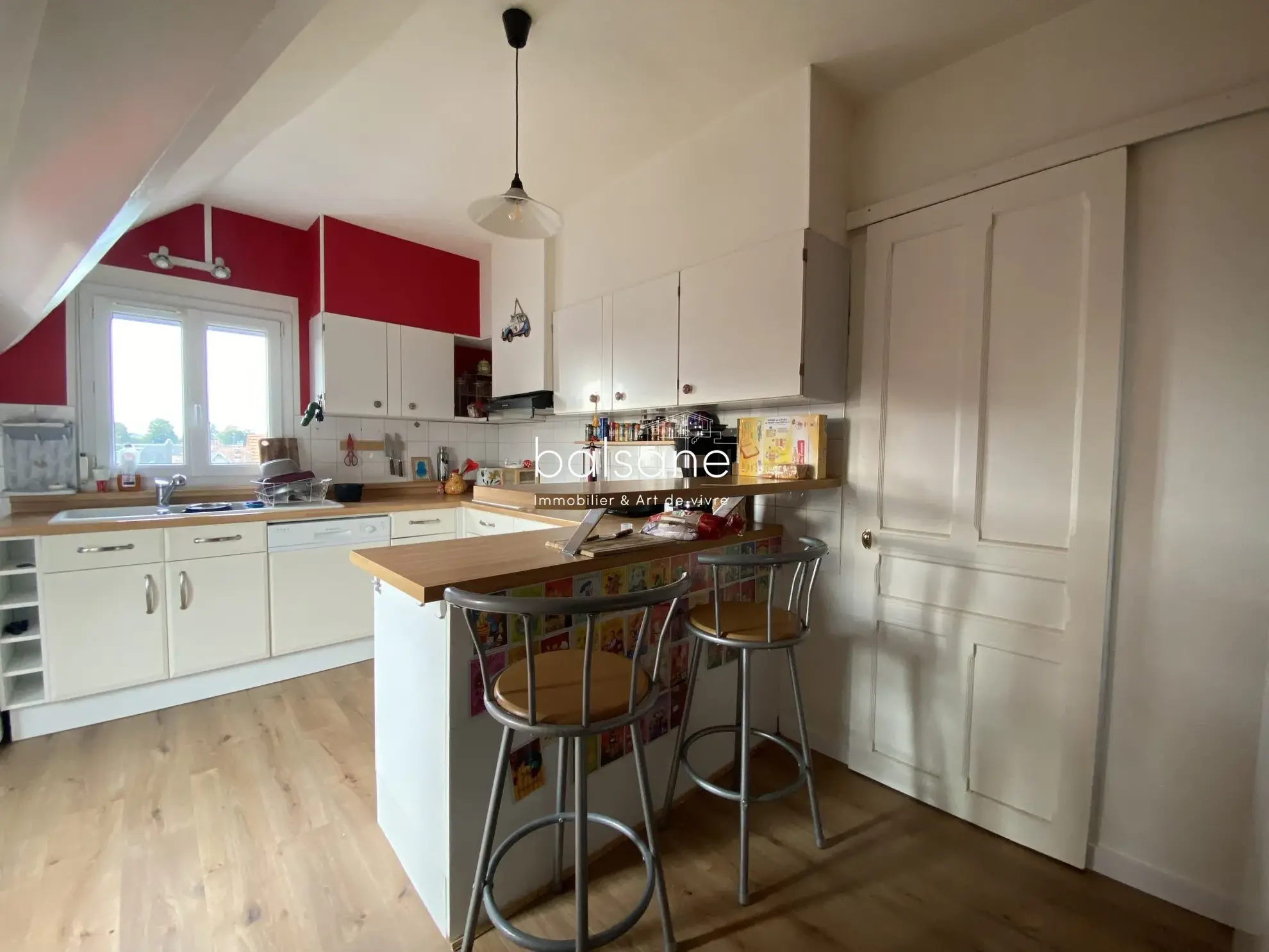 Appartement de charme 3 pièces avec cave et garage à Jardin des Plantes 