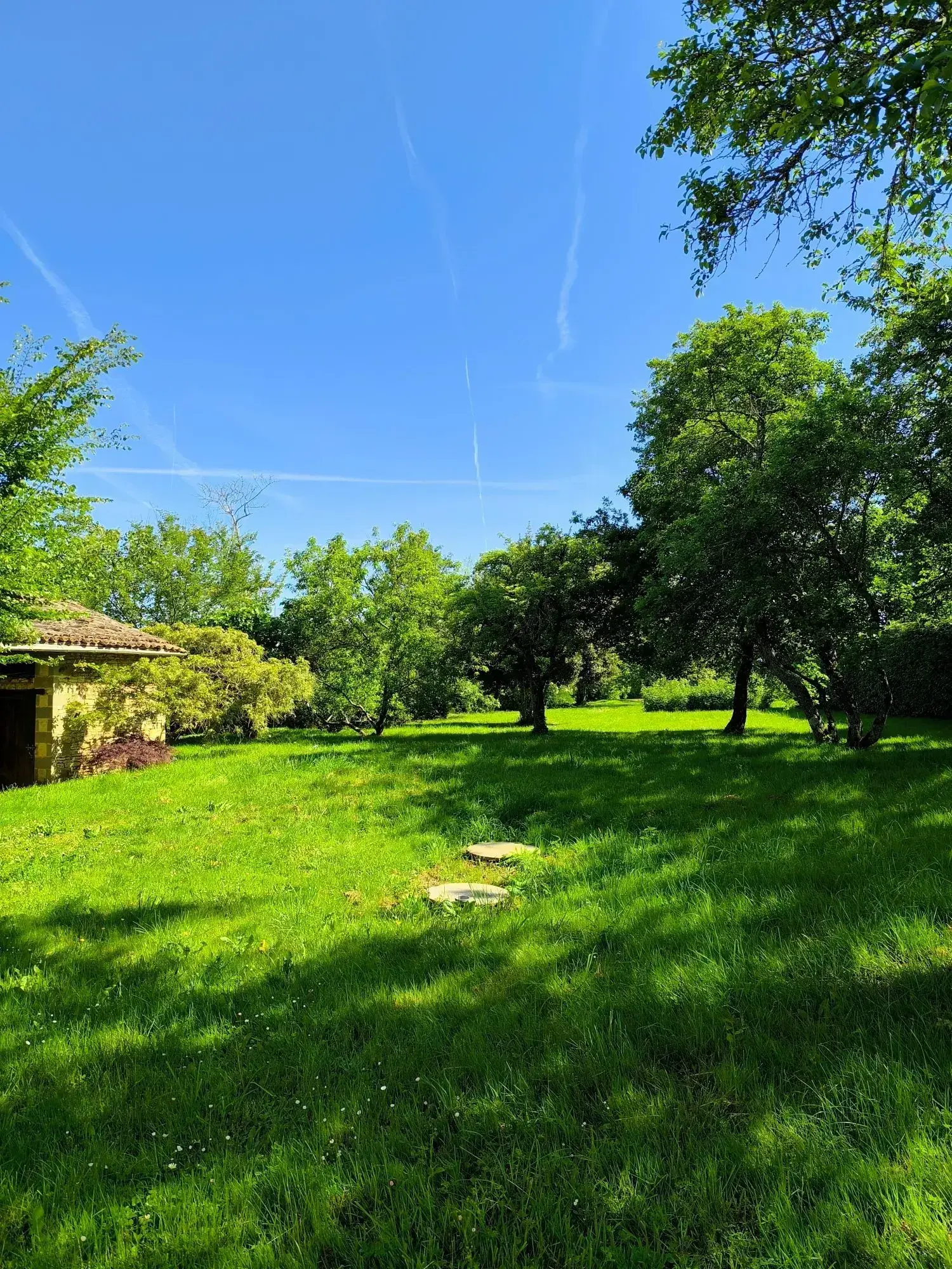 Charmante maison de campagne à Chaunay à rénover avec grand terrain 