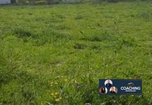 Terrain à bâtir de 10 484 m² à Vitry-le-François, opportunité rare