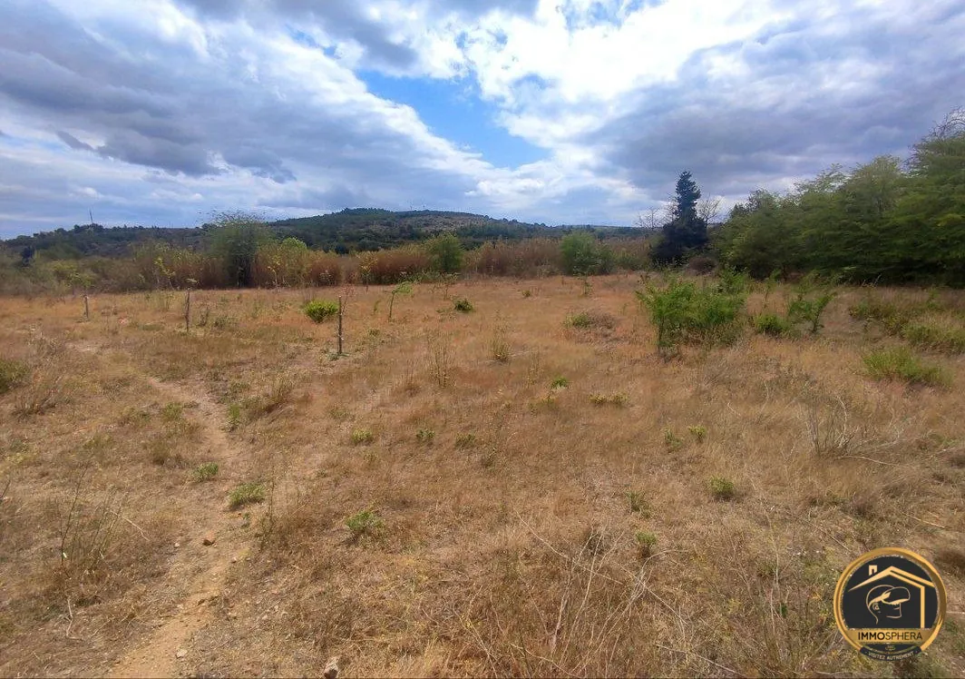 Terrain agricole de 5260 m² à Portel-des-Corbières, idéal pour projets ruraux